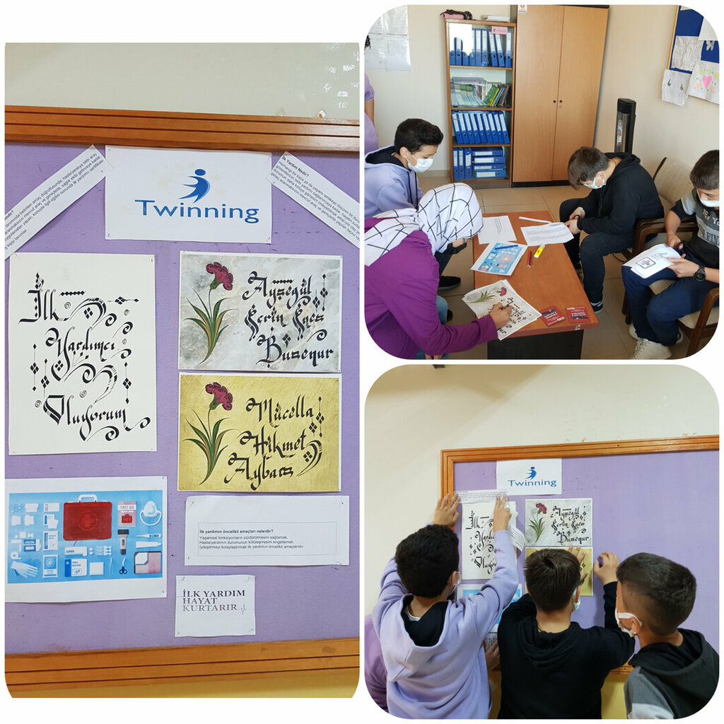 Religious education Alapli Imam Hatip Middle School, Alapli, photo