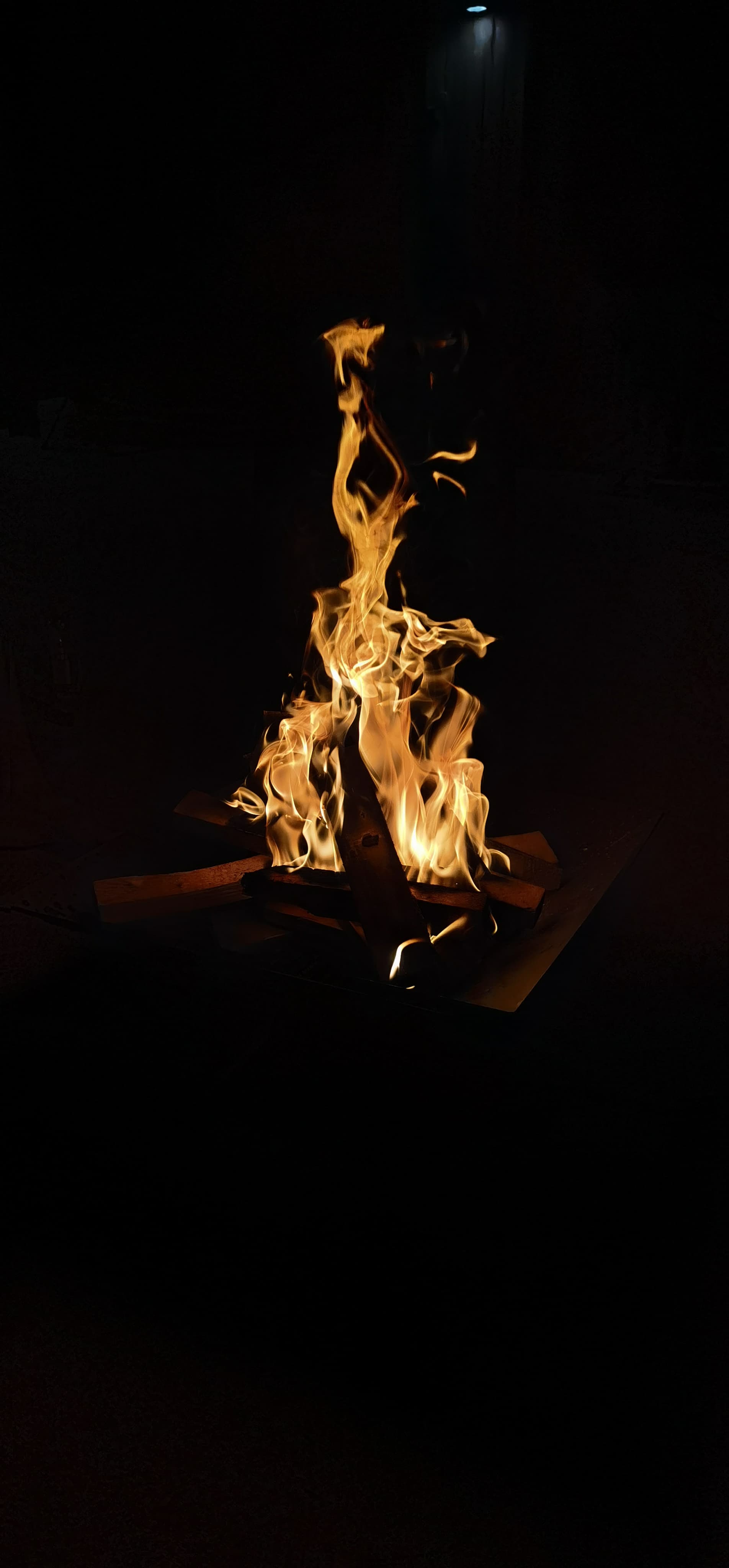 Фото Берлога