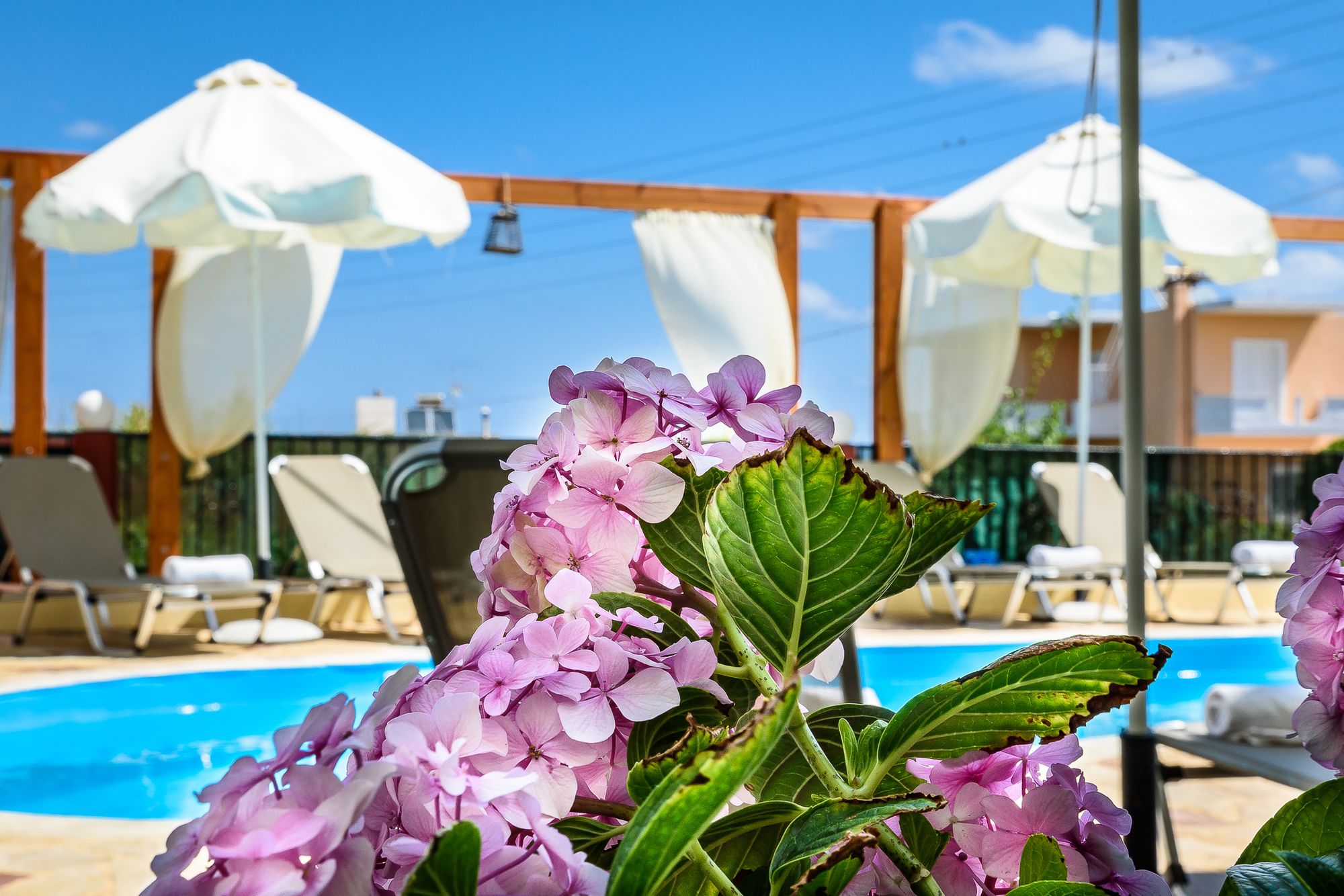 Фото Irinoula Dreams