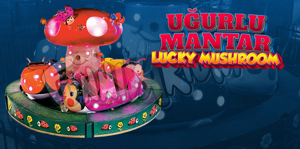 Wellness center Funnivarium, Ankara, photo