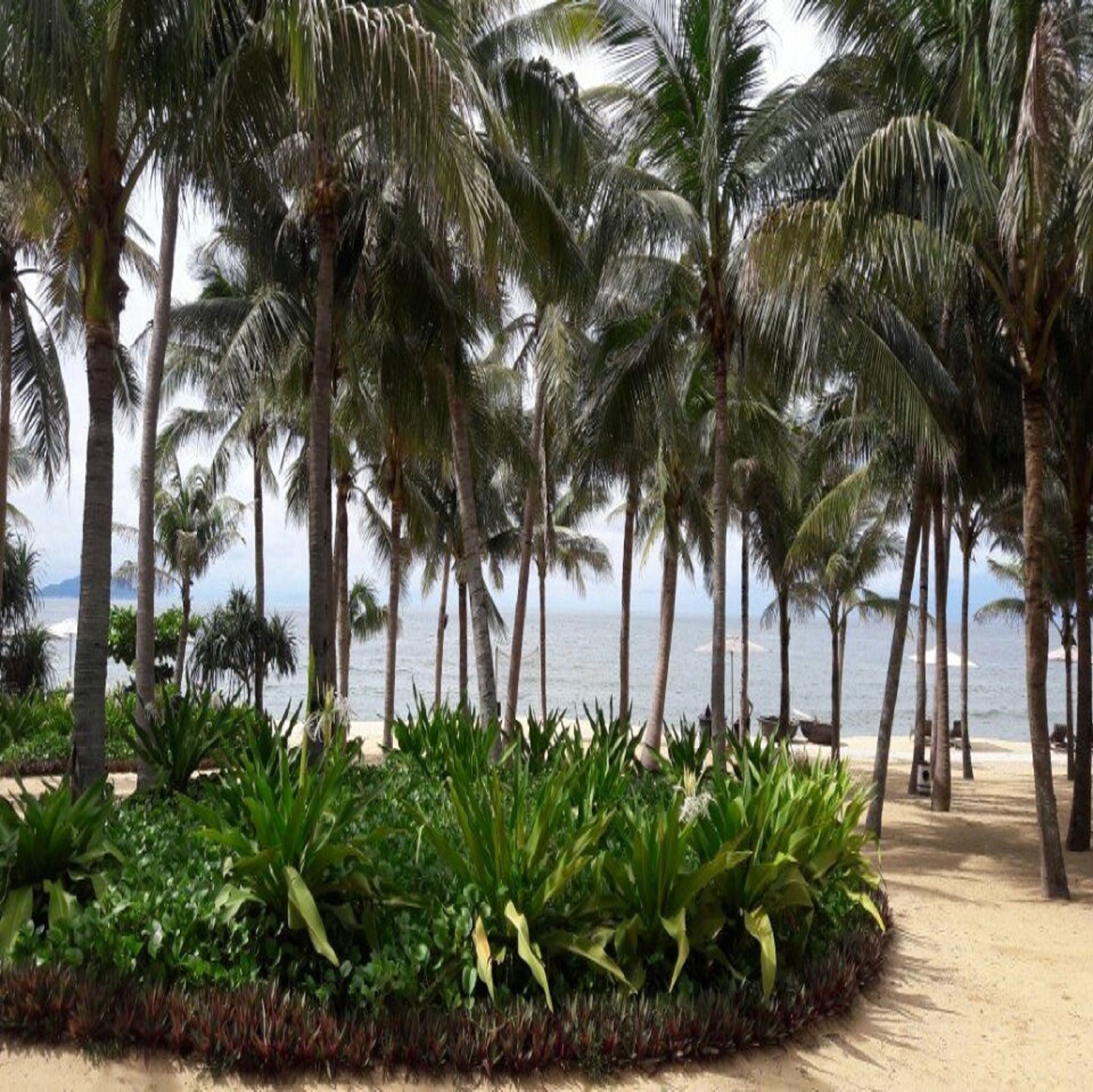 Фото Miami Beach Hotel