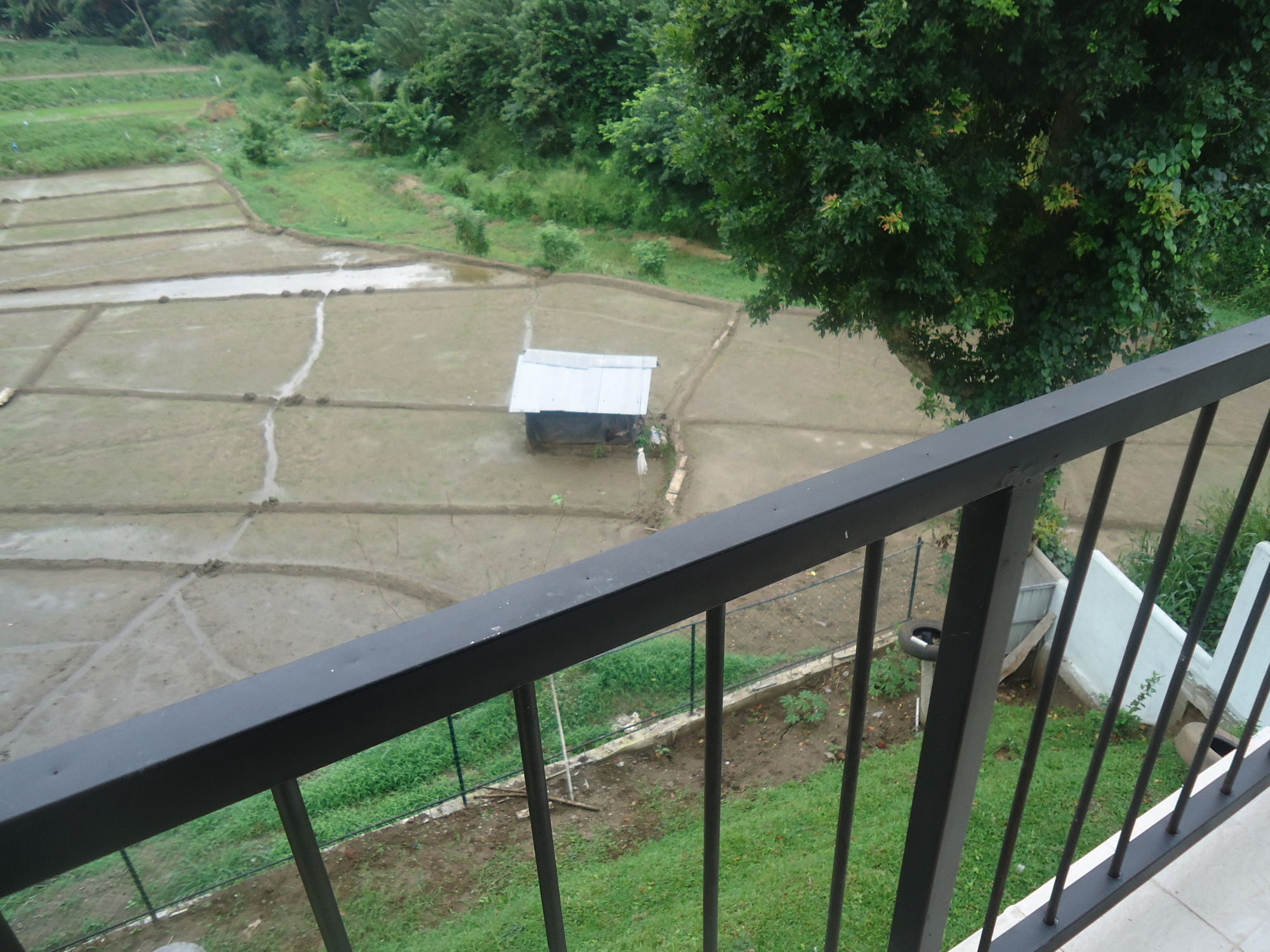 Фото Flower Seven Hotel