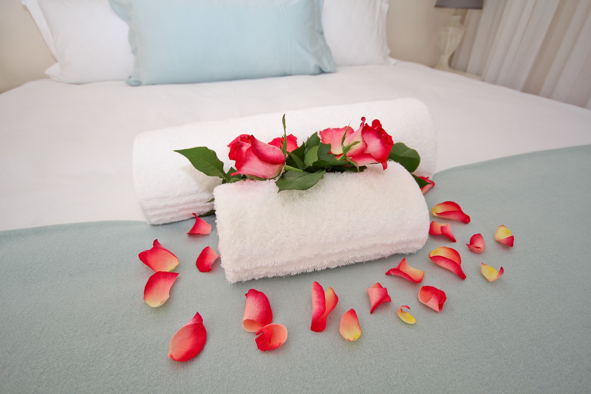 Фото Beluga of Constantia Guest House