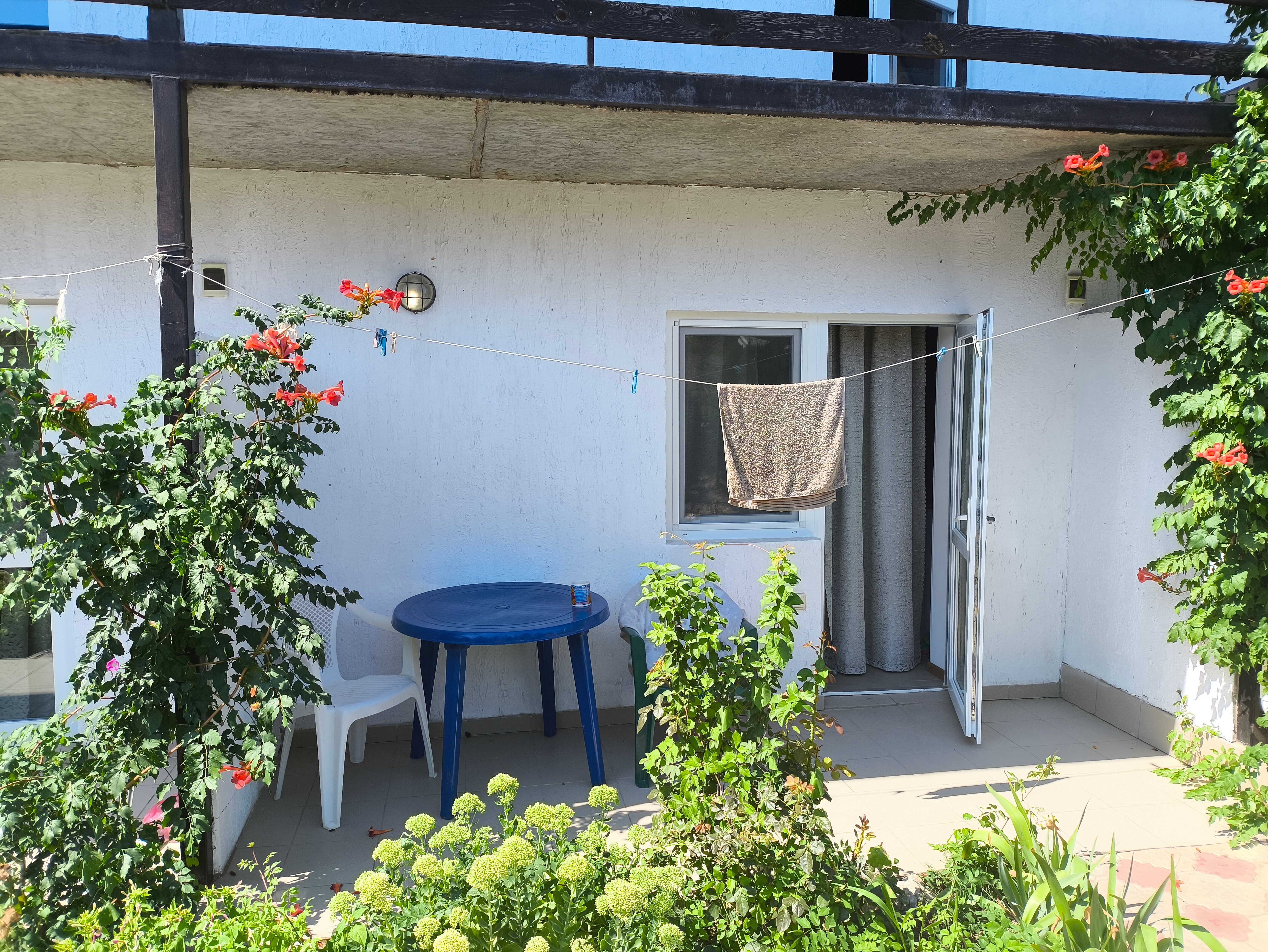 Фото Сахалин