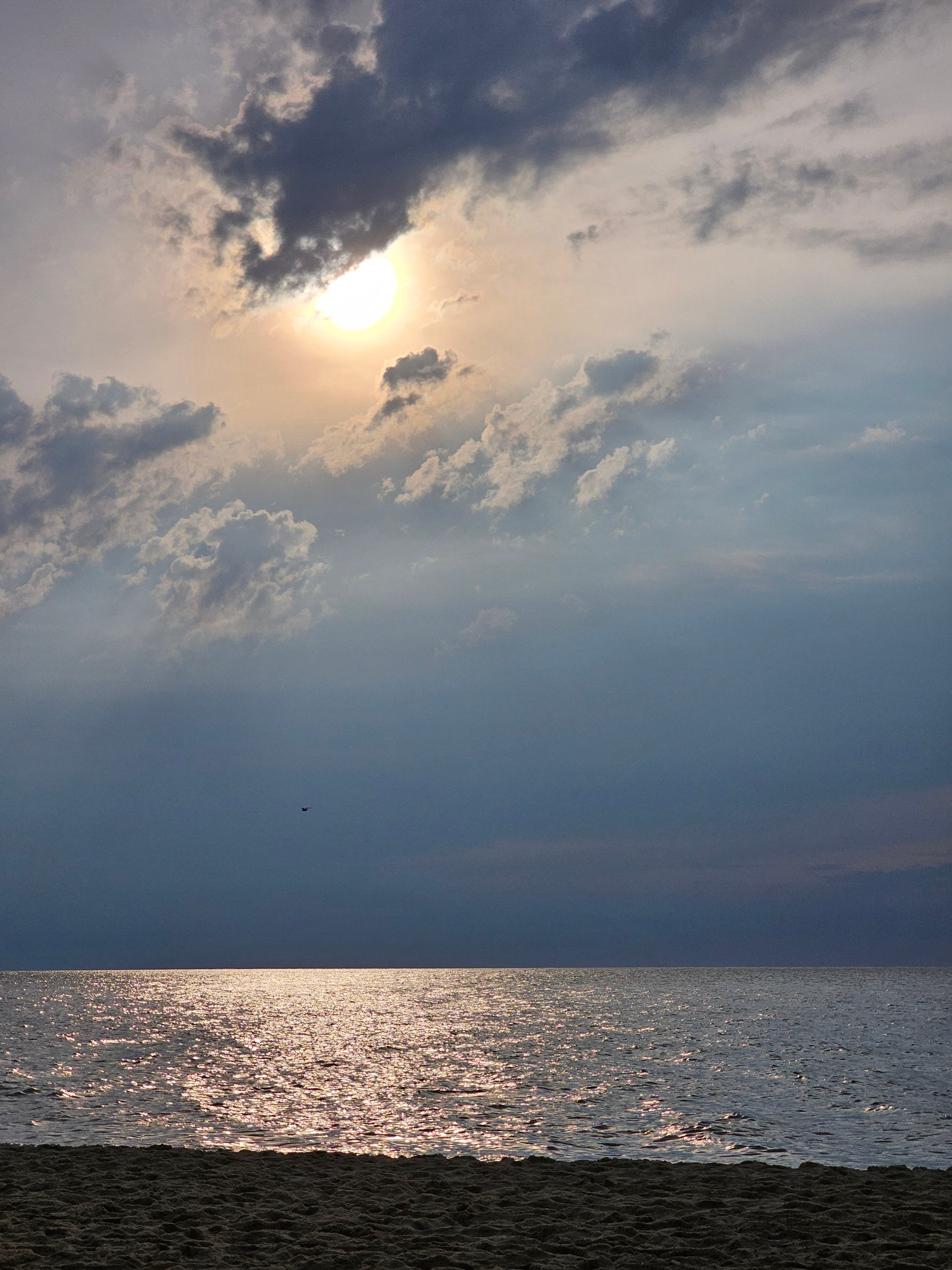 Фото Белый филин