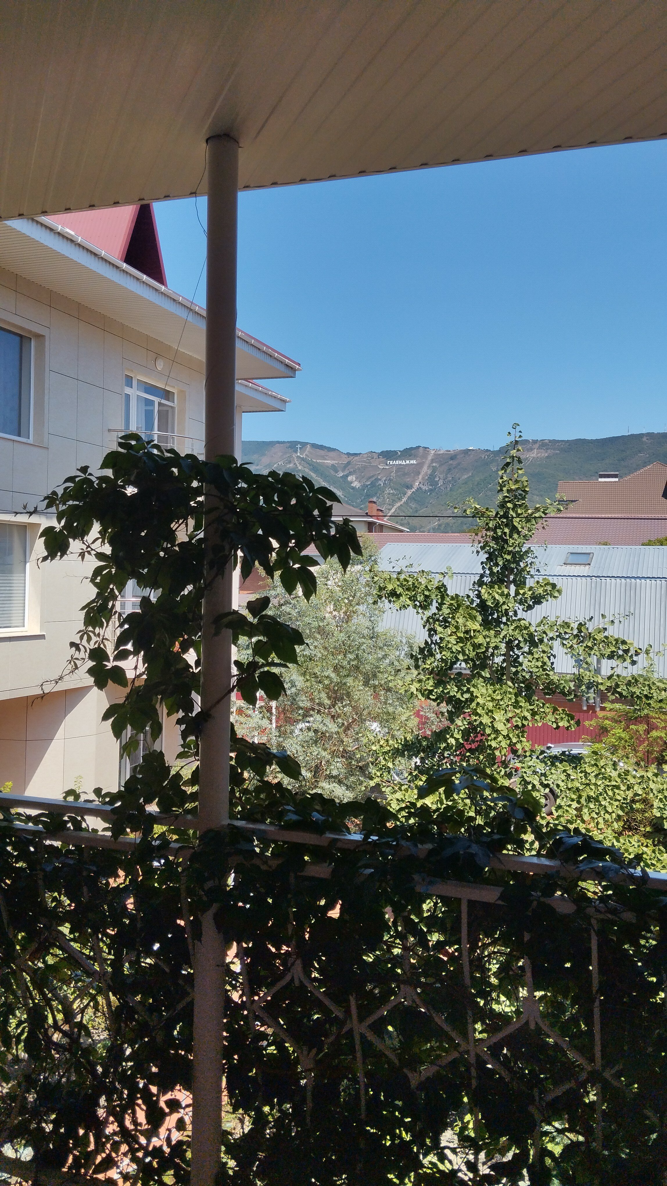 Фото Отдых у Александра