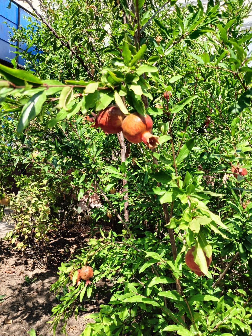 Фото Медовый месяц