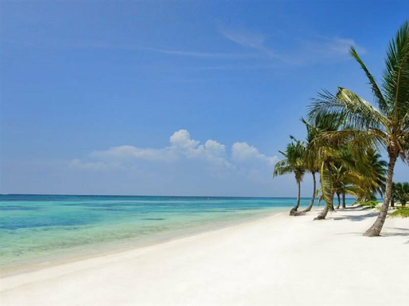 Фото The Westin Puntacana Resort & Club