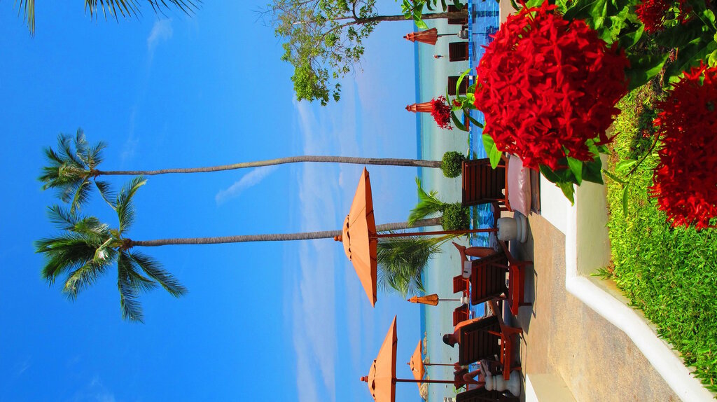 Hotel Palm Coco Mantra, Samui, photo