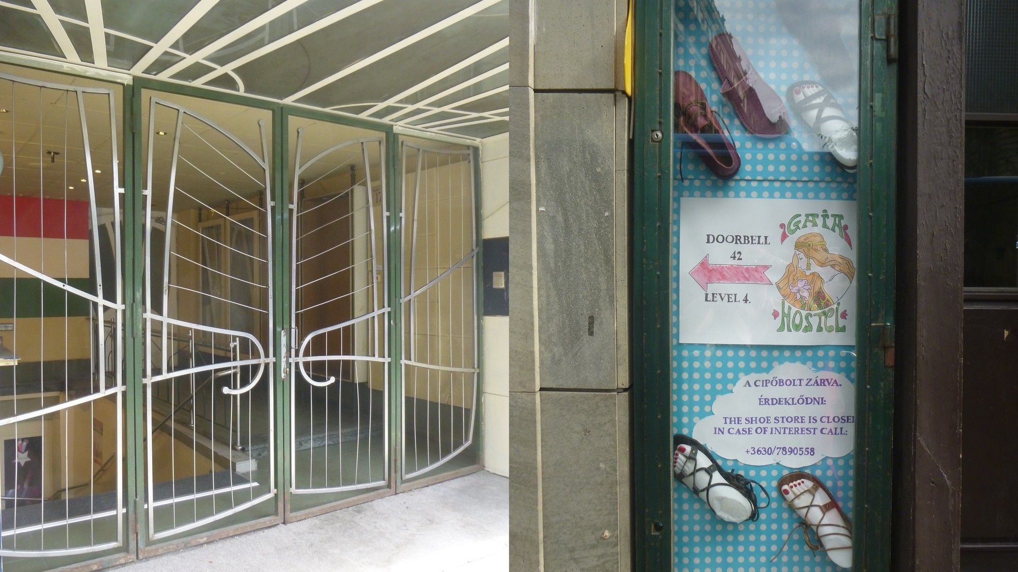 Фото Gaia Hostel