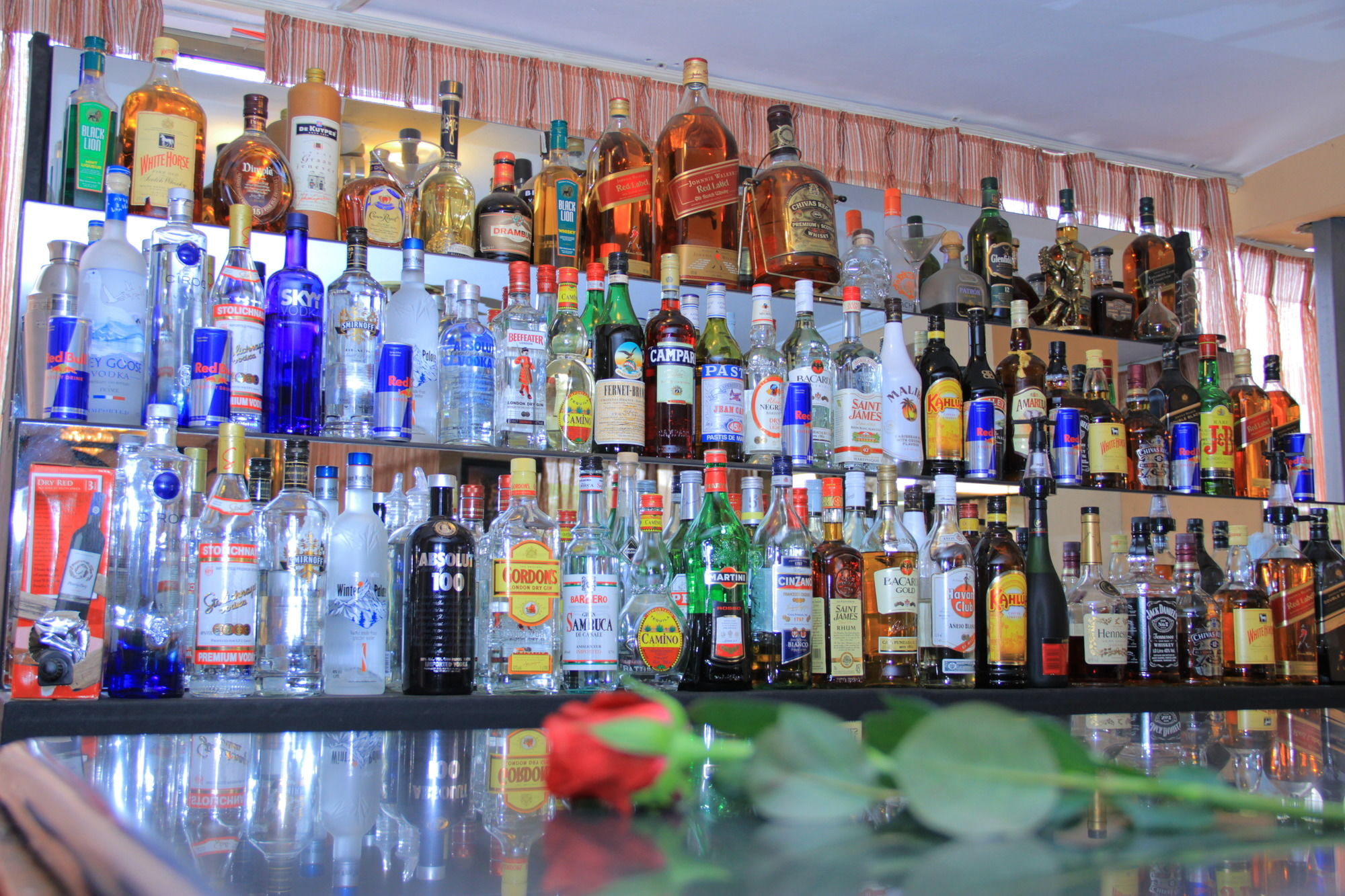 Фото Hotel Lobelia