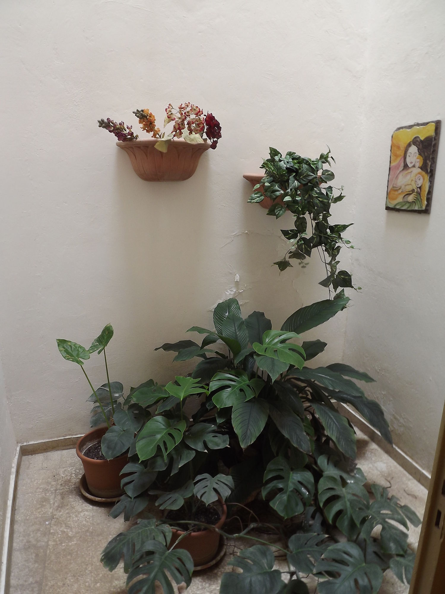 Фото I Cavalieri di Malta