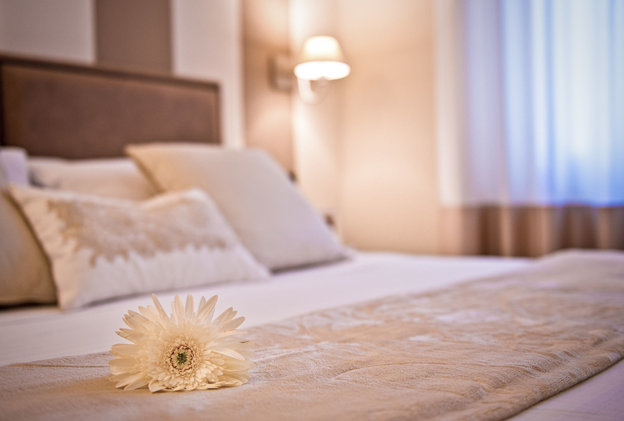 Фото Delle Vittorie Luxury Suites & Rooms