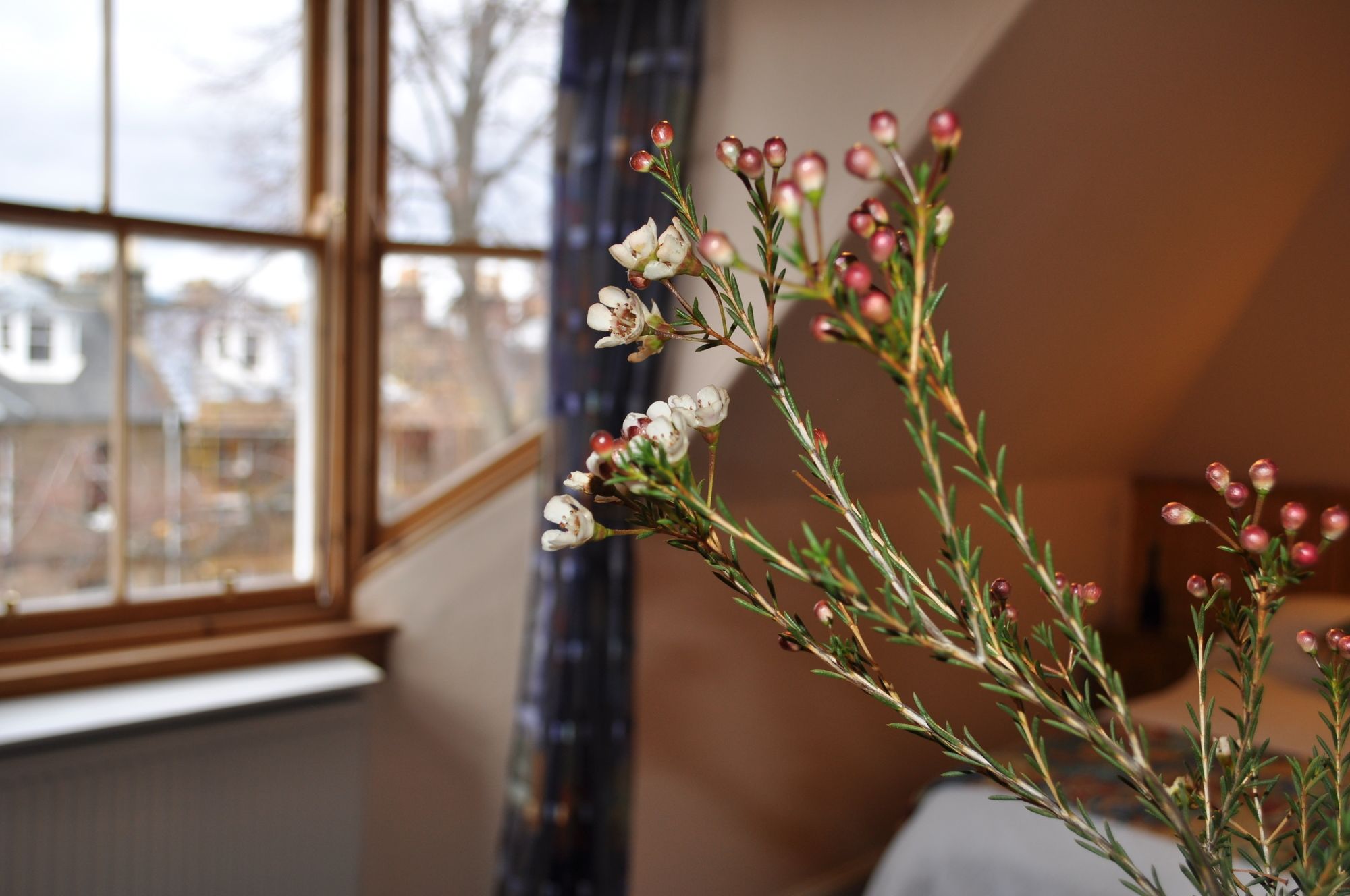 Фото Ashdene House