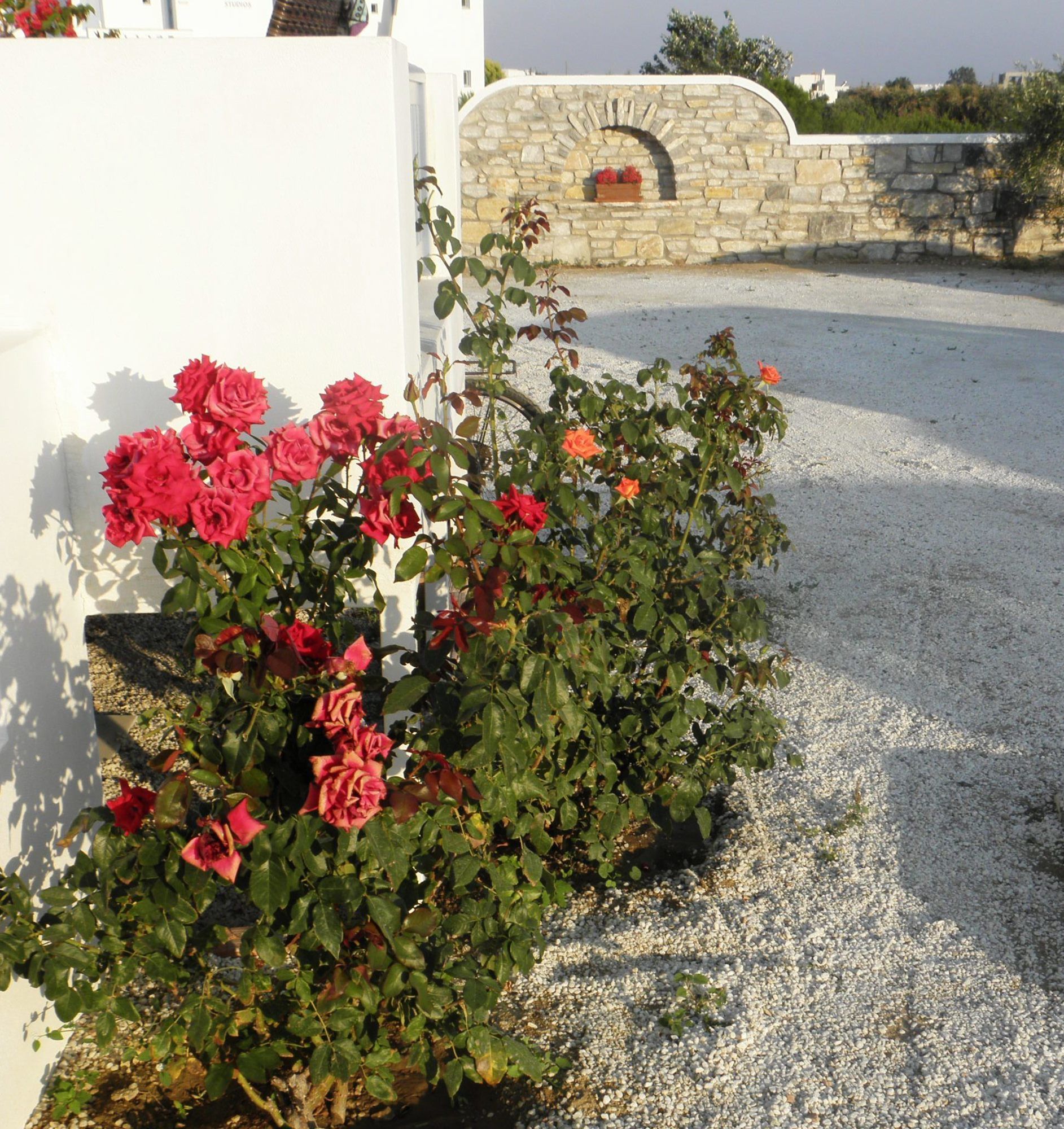 Фото Blue Harmony Apartments