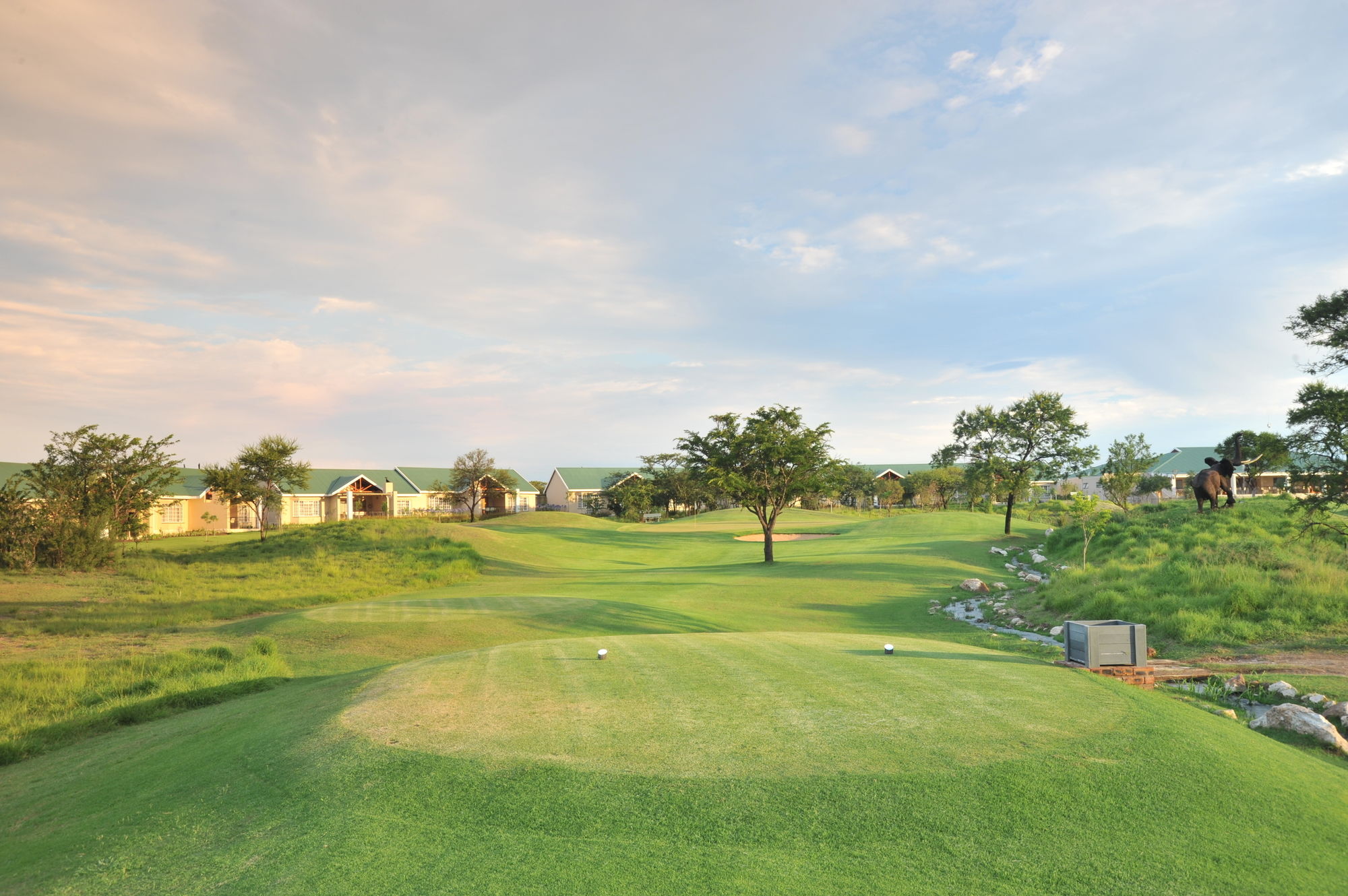 Фото Protea Hotel Polokwane Ranch Resort