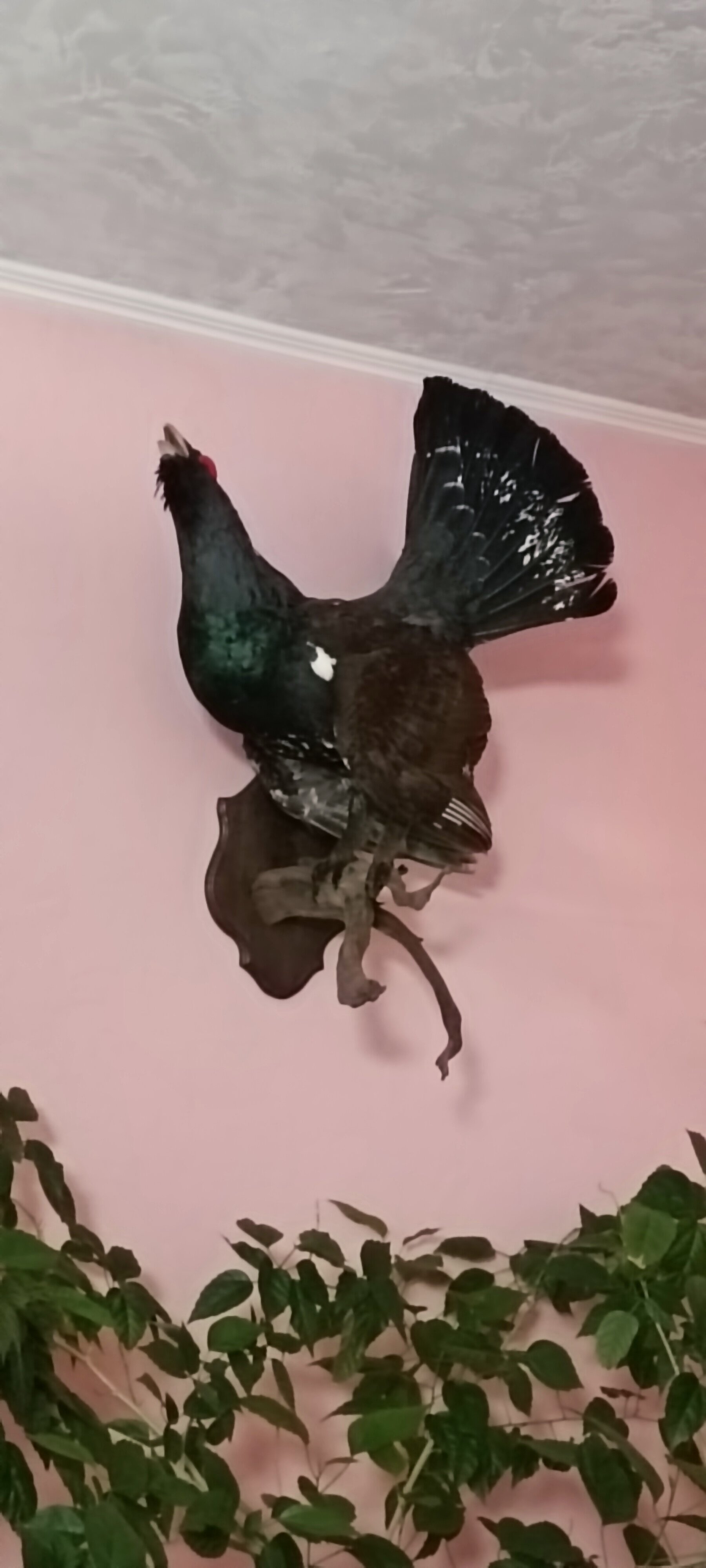 Фото Три охотника