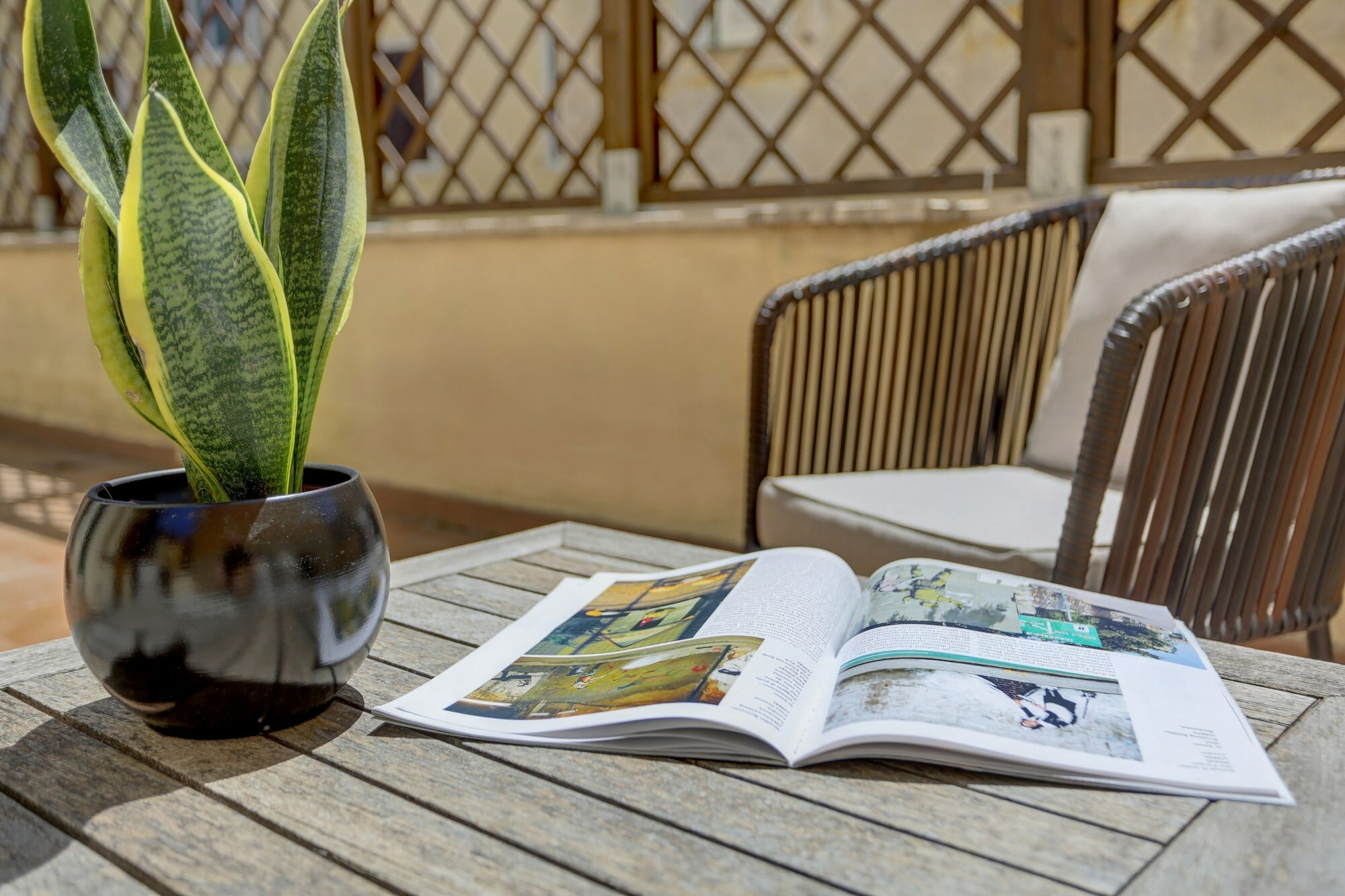 Фото Colosseo Gardens - My Extra Home