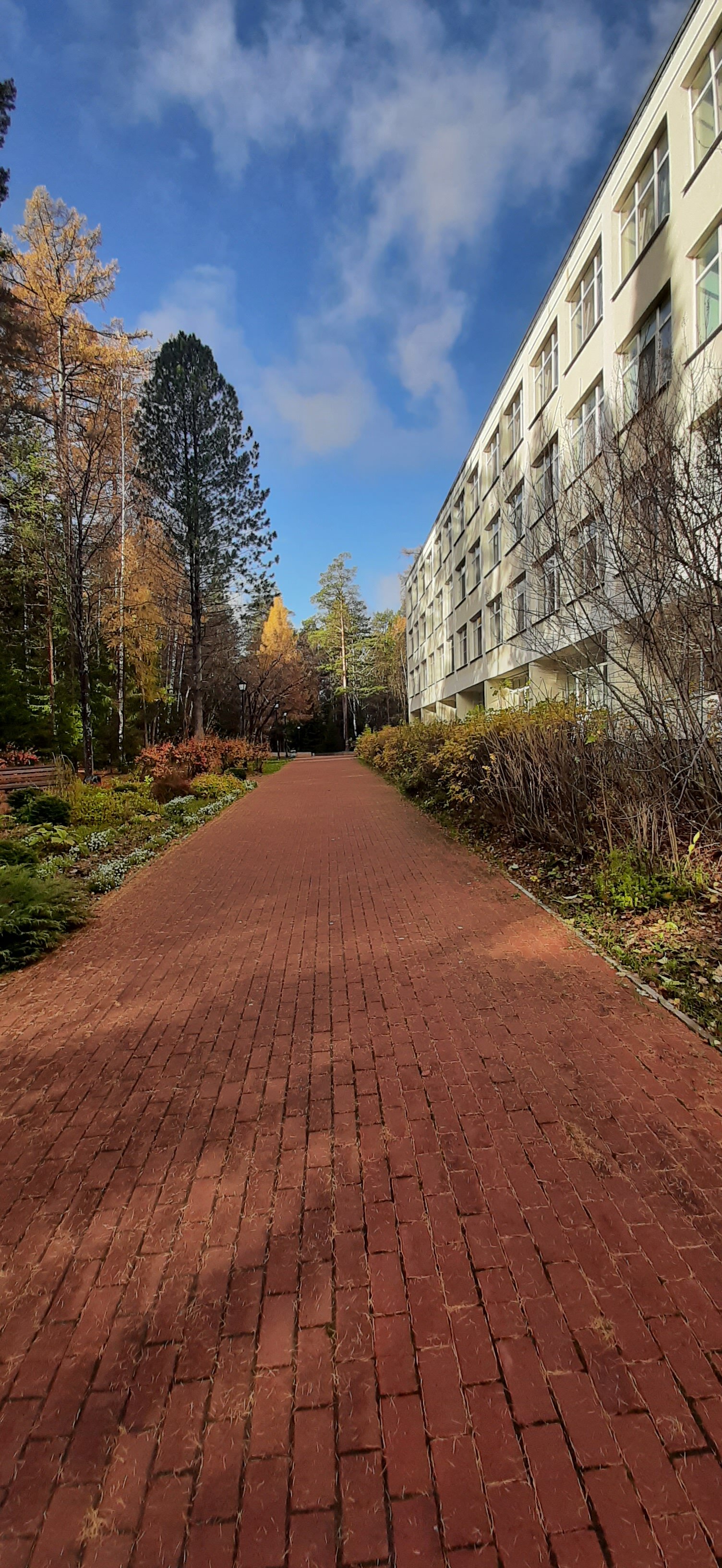 Фото Лесная сказка