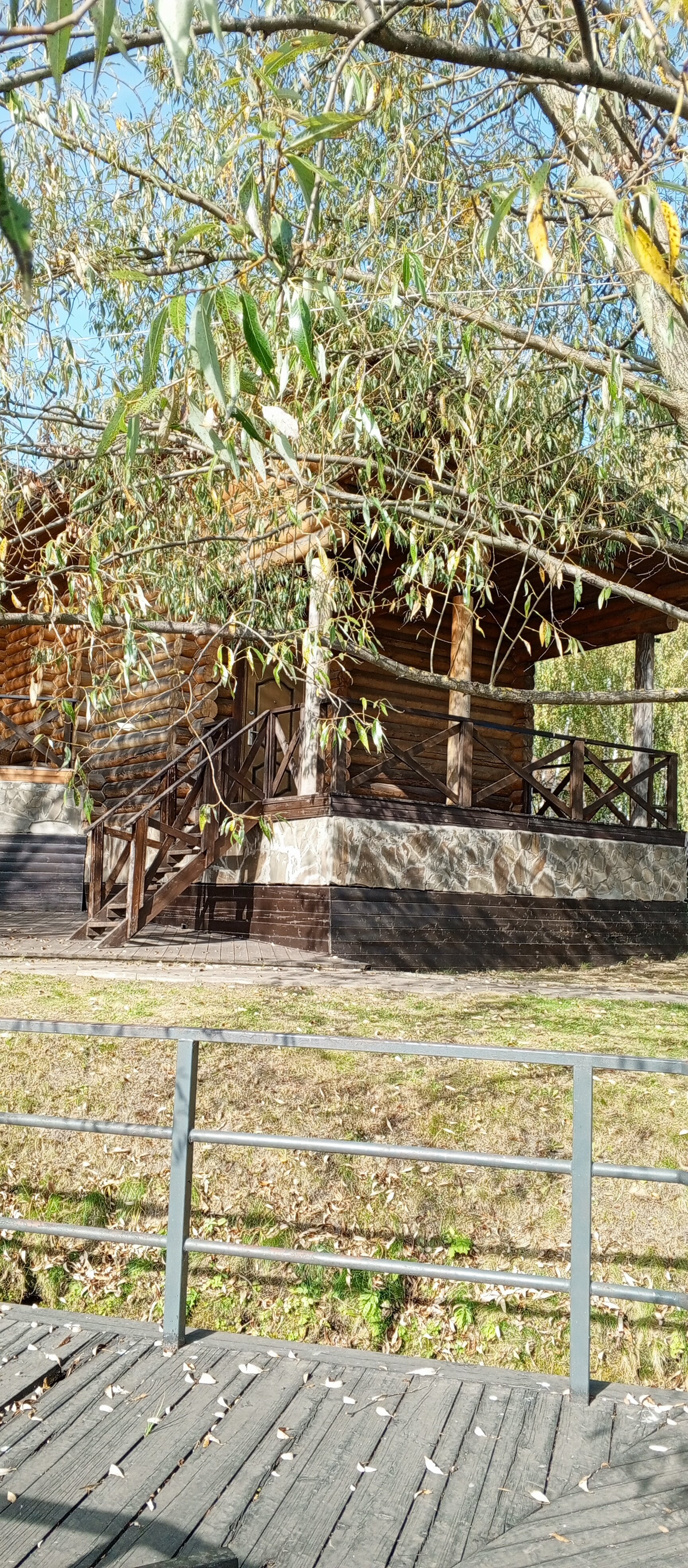 Фото Молоково