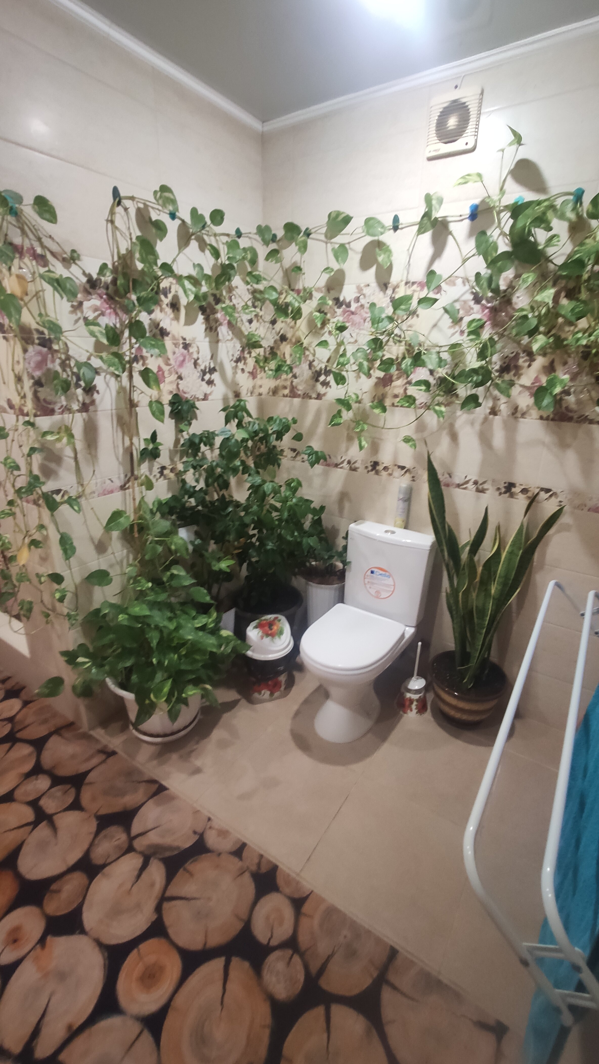 Фото Августин