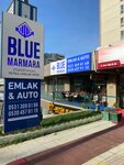 Blue Marmara Real Estate & Automotive (Istanbul, Esenyurt, Koza Neighborhood, 1635th Street, 3G), real estate agency