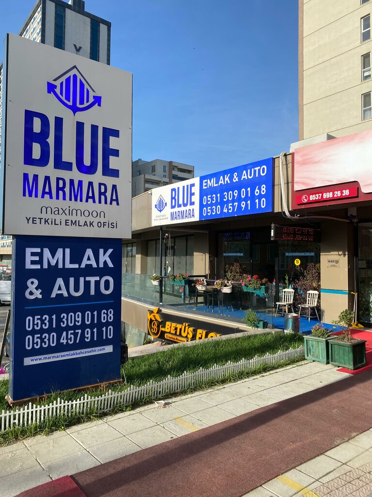 Real estate agency Blue Marmara Real Estate & Automotive, Istanbul, photo