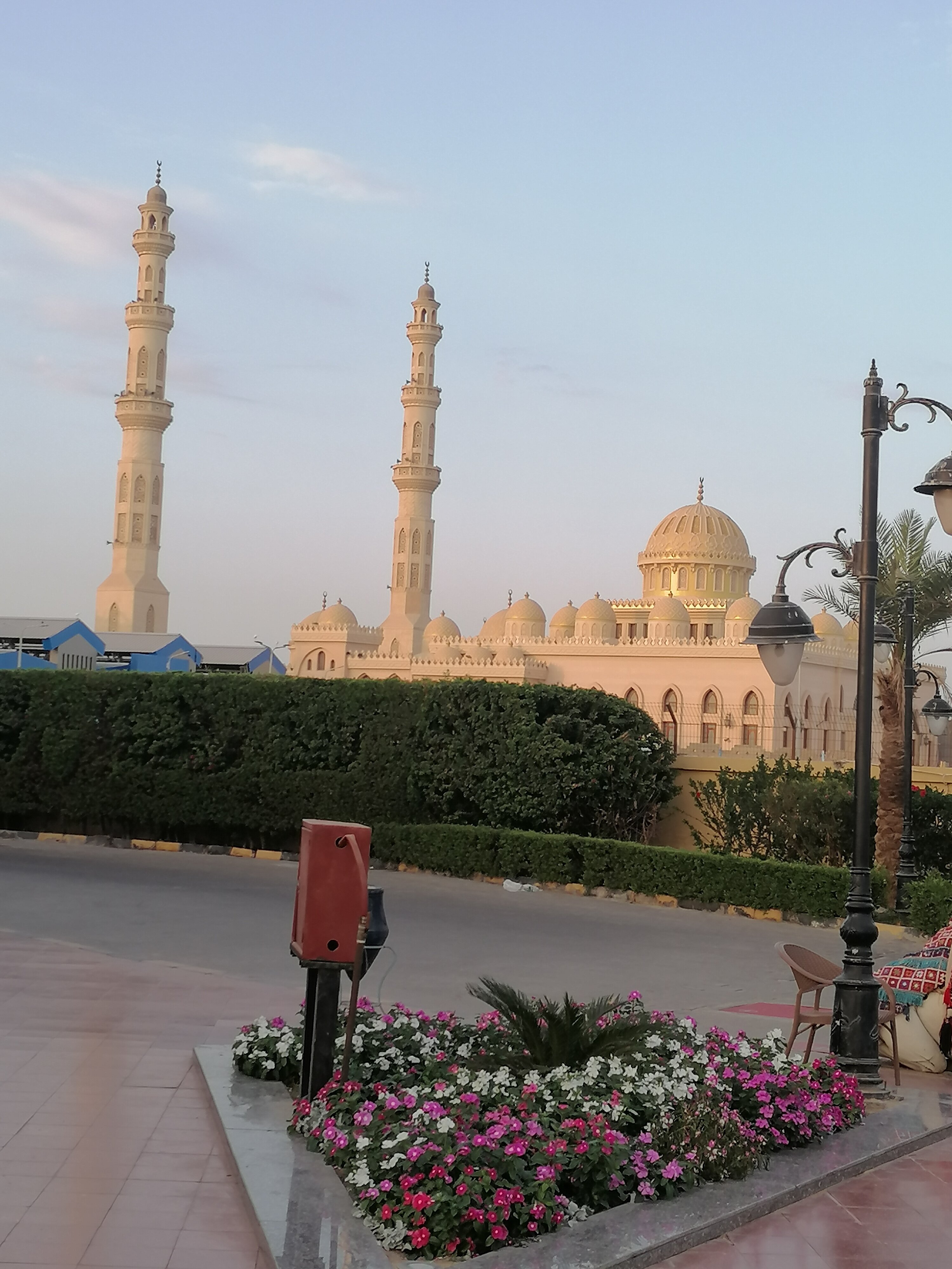 Фото Seagull Beach Resort