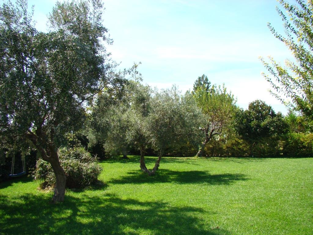 Фото Bed and breakfast Due Fontane