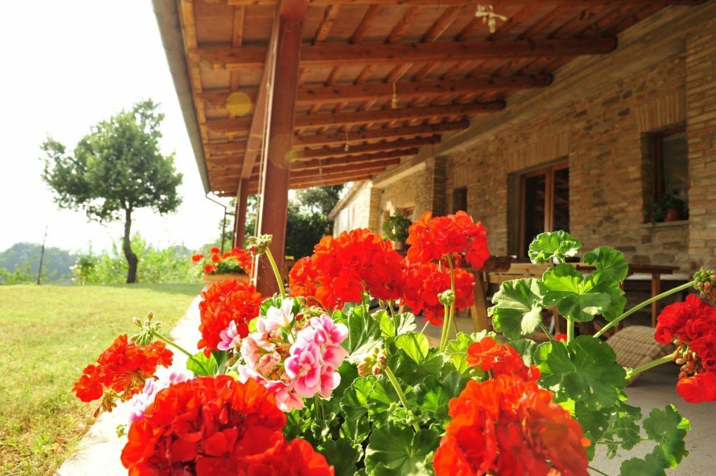 Фото Agriturismo La Caputa