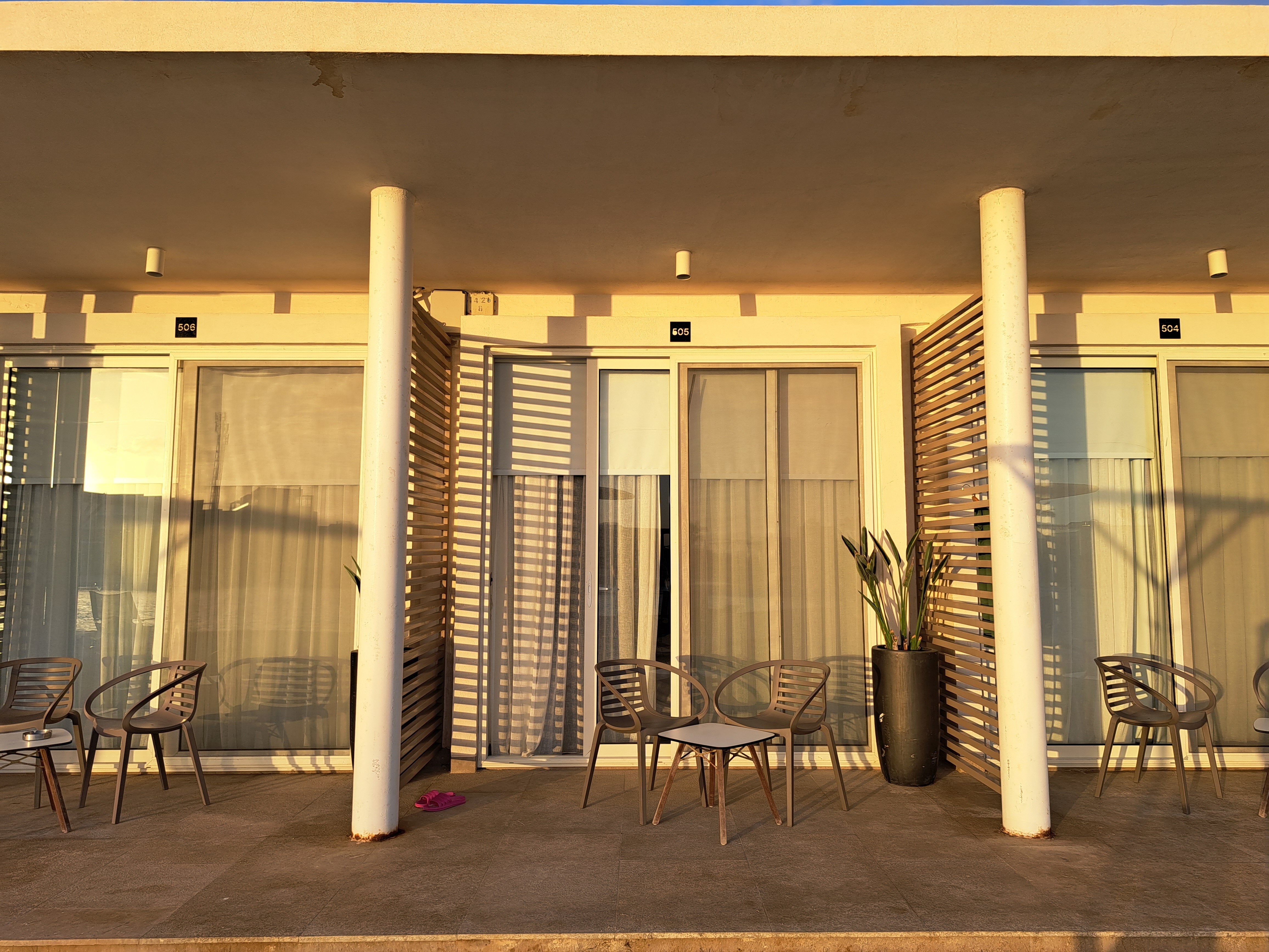 Фото The G Seashell