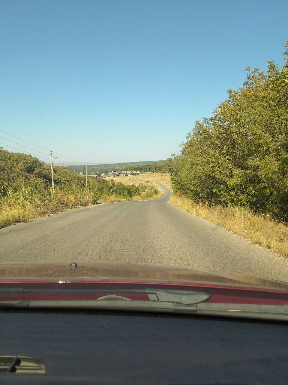 Фото Лесной уголок