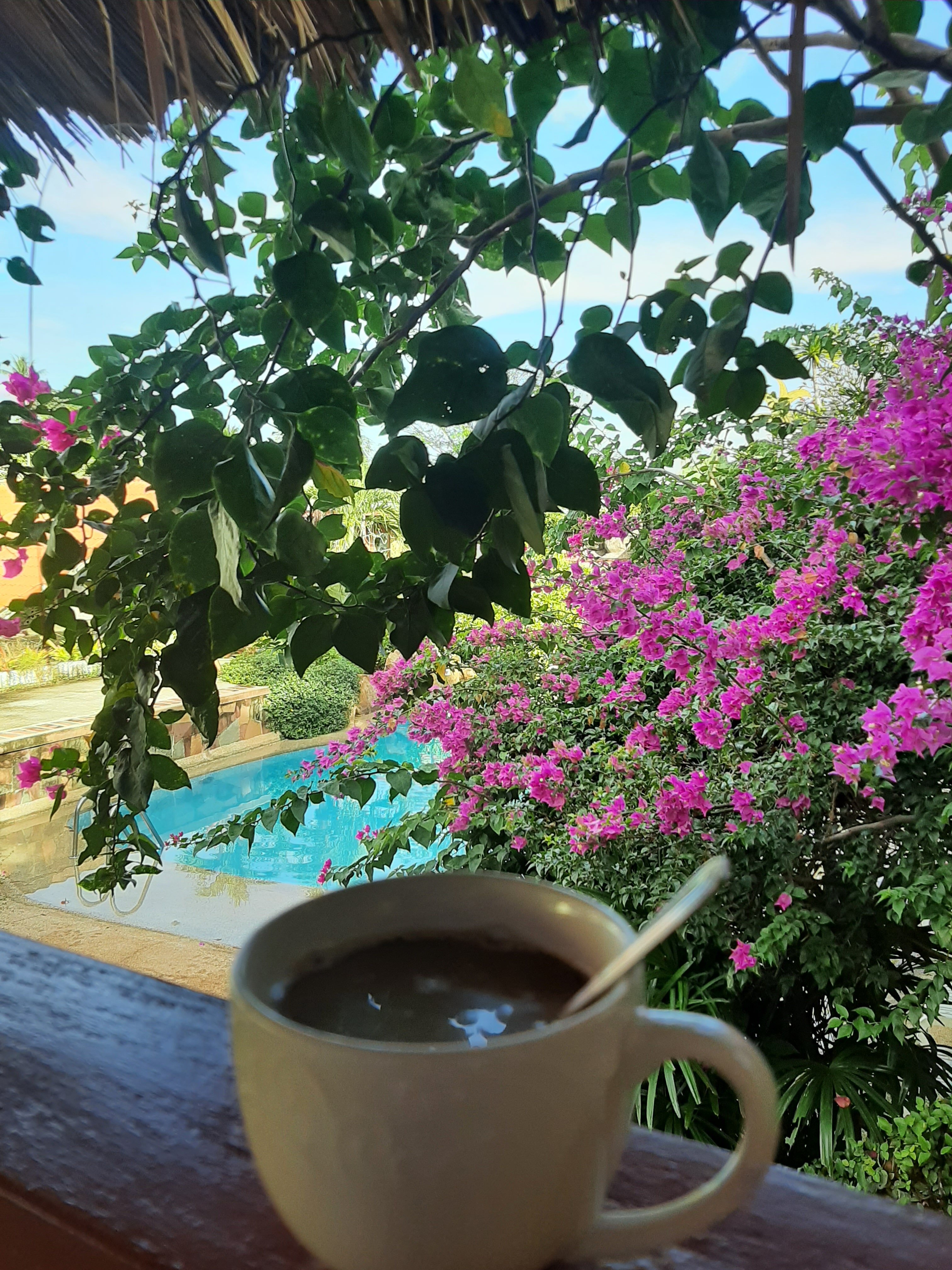 Фото Kata Garden Resort