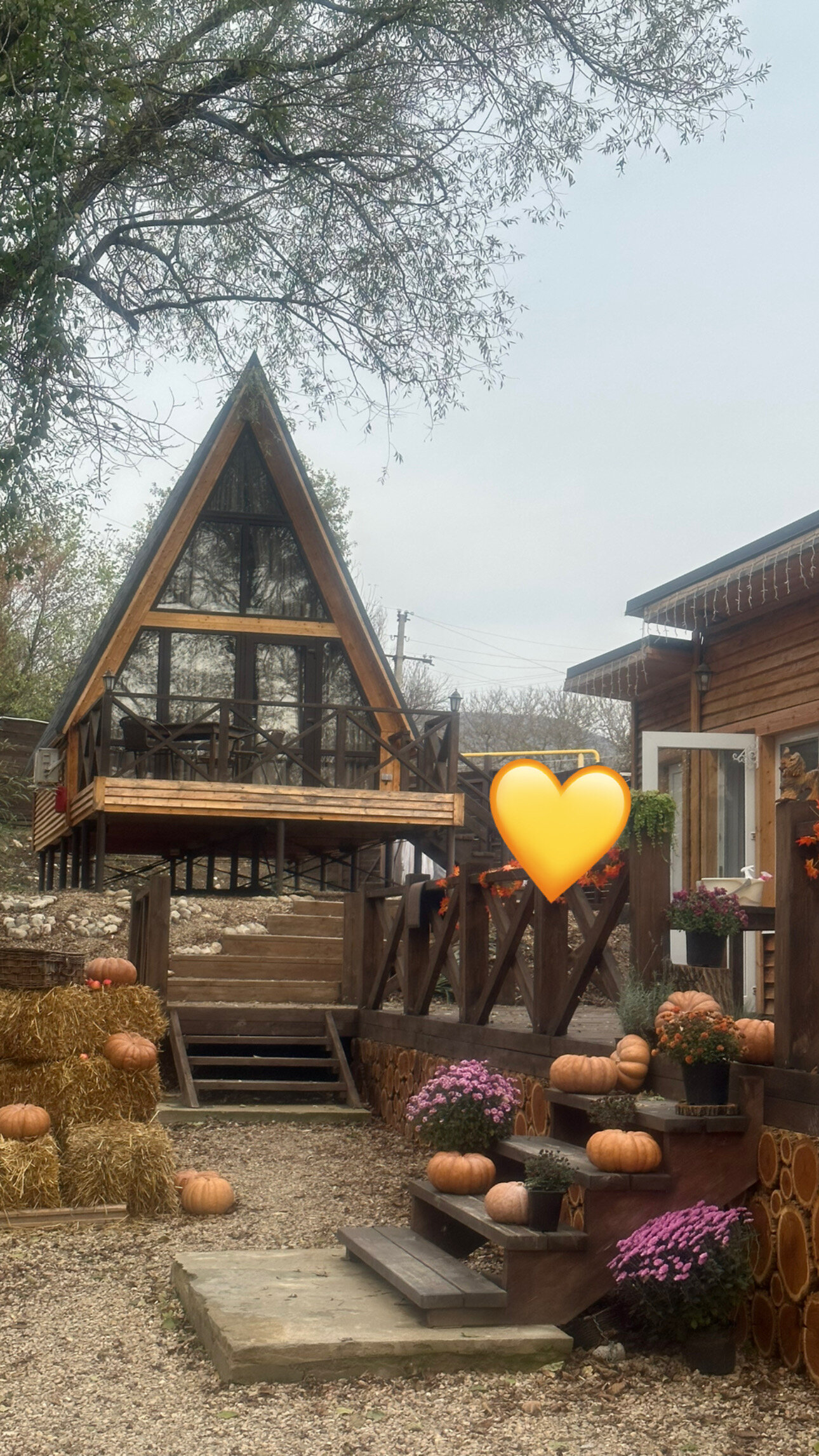 Фото Богатый лес