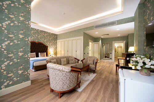Гостиница Sapphire Inn Hotel в Баку