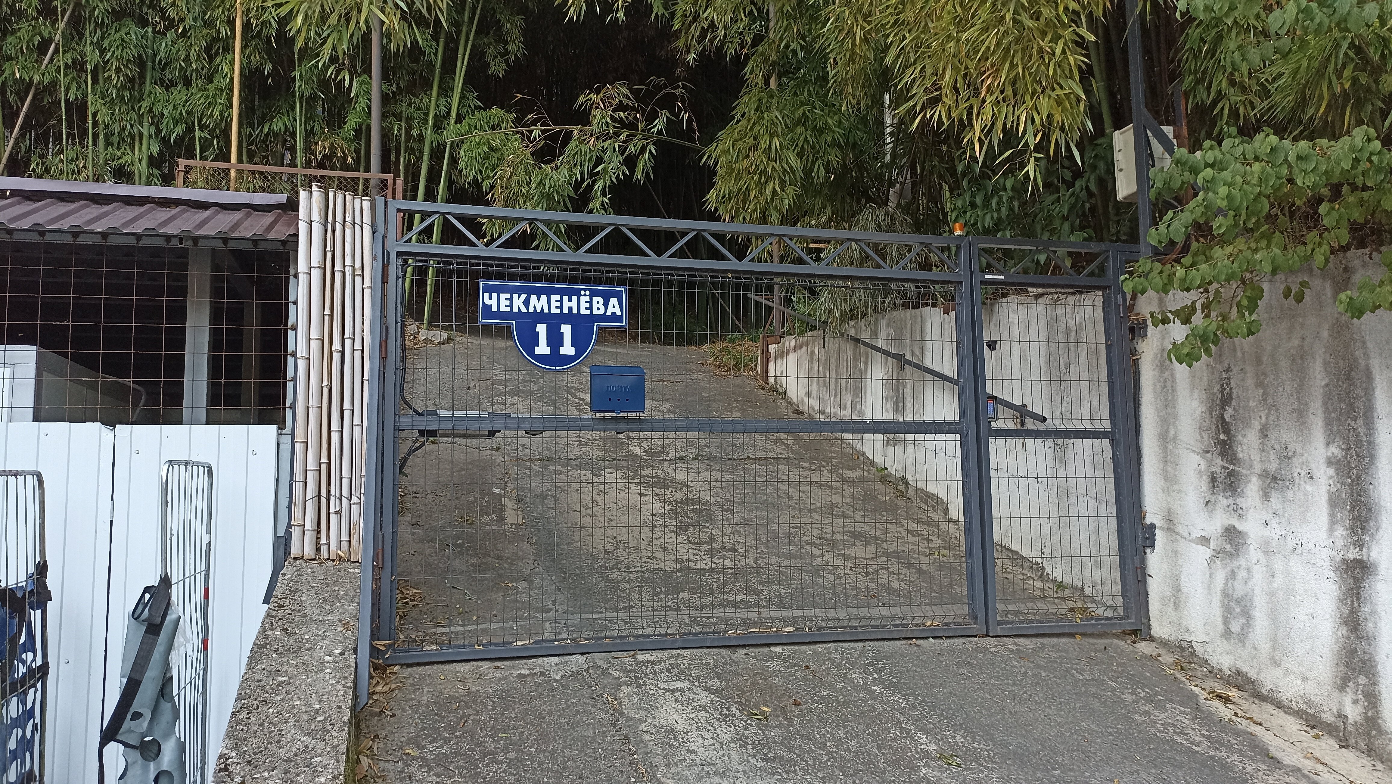 Фото Бамбуковая Роща