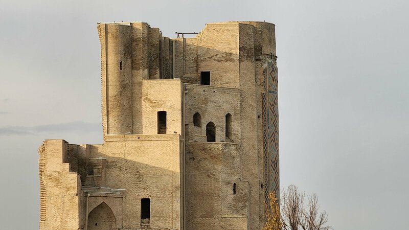 Haqiqiy nogironlar bilan jinsiy aloqa