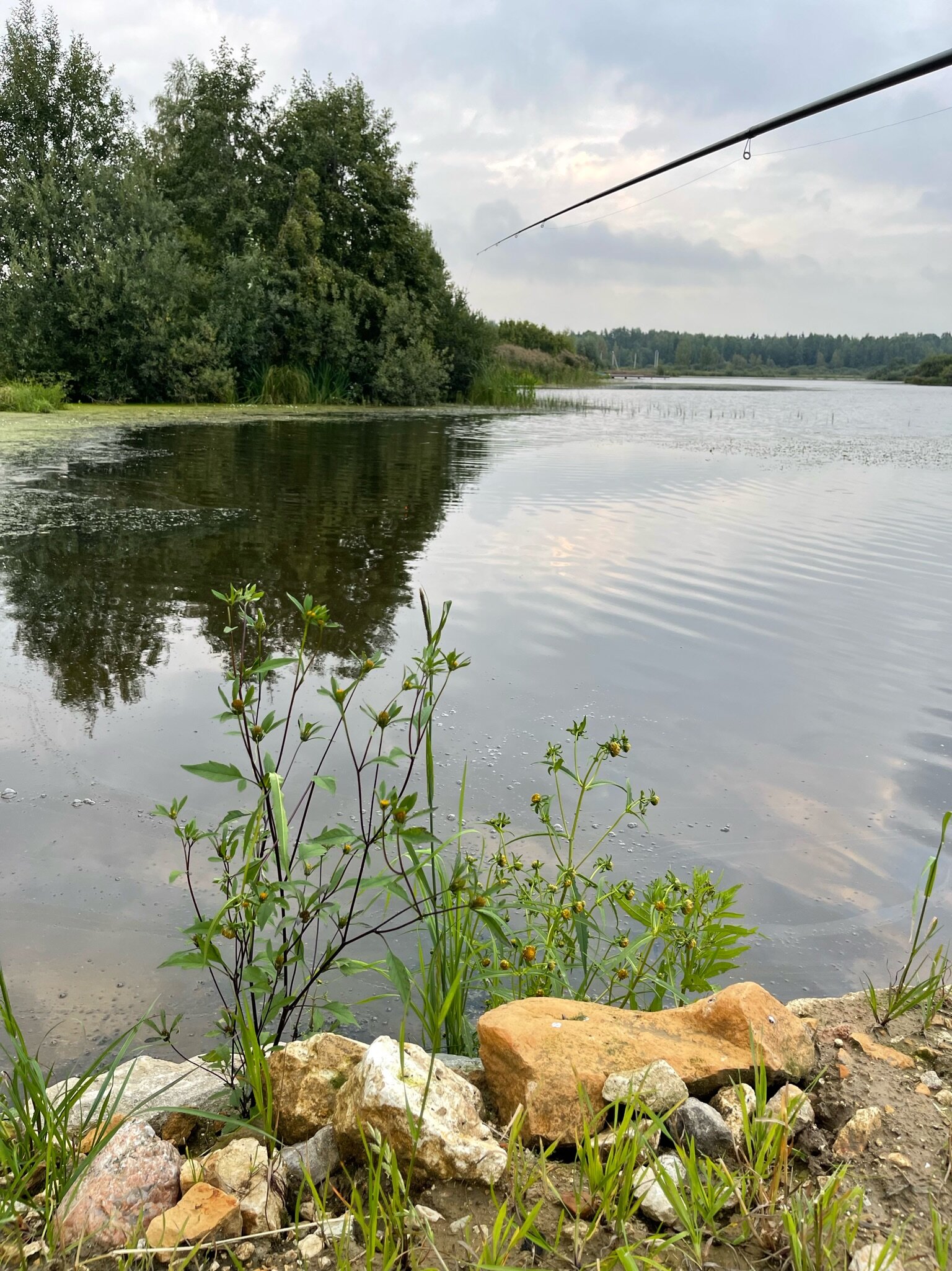 Фото Вилла Форца