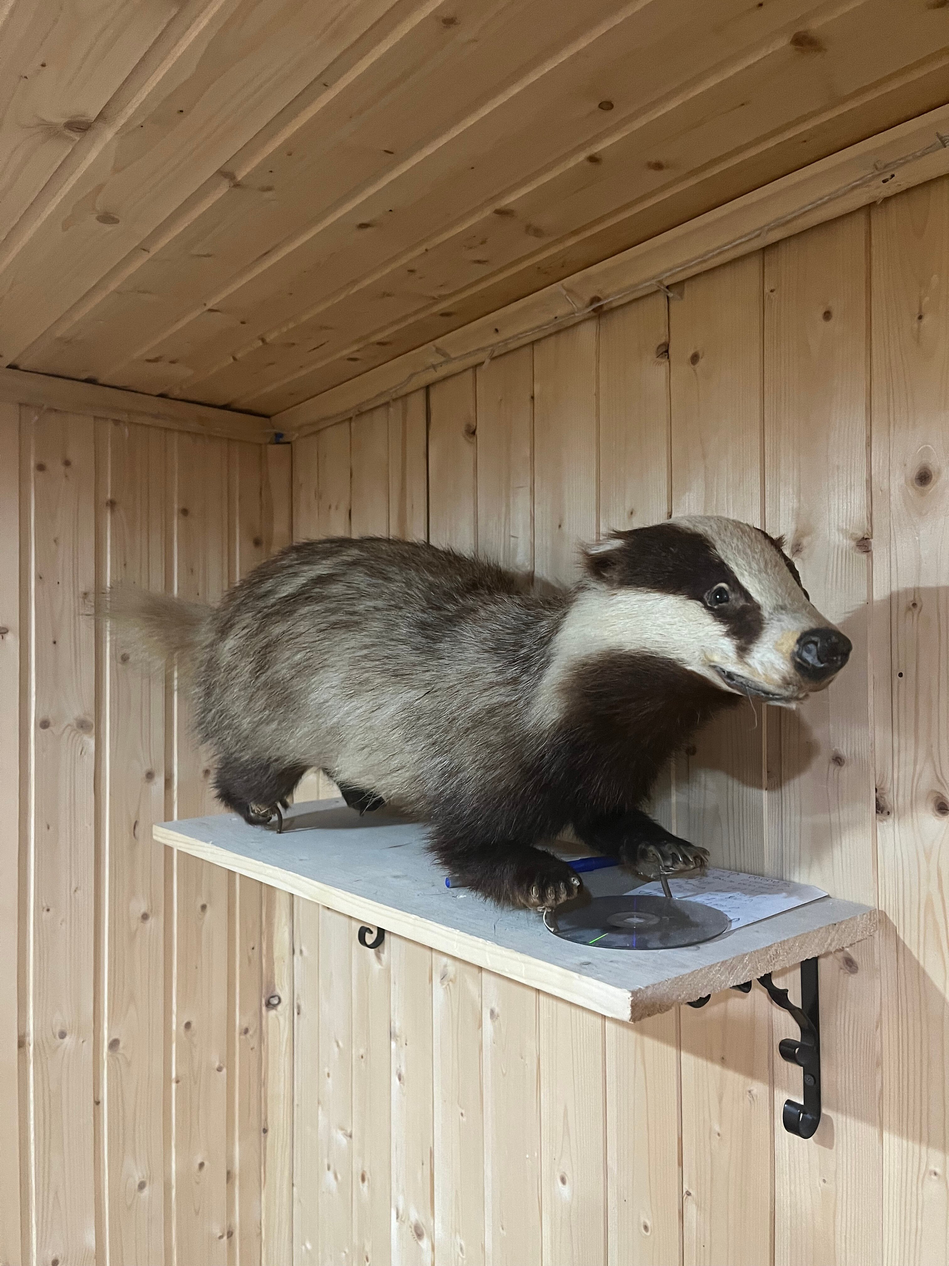 Фото Гавань