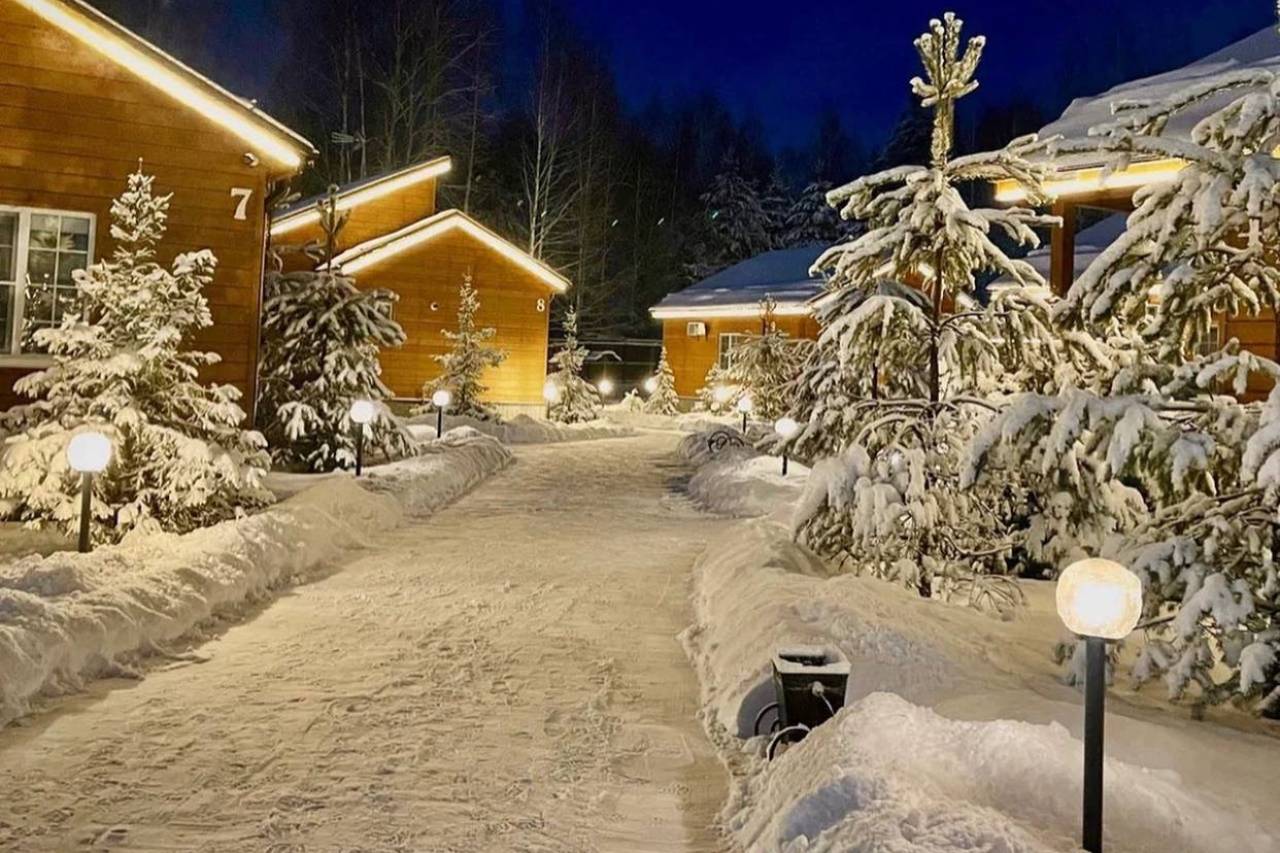 Фото Золотые Караси