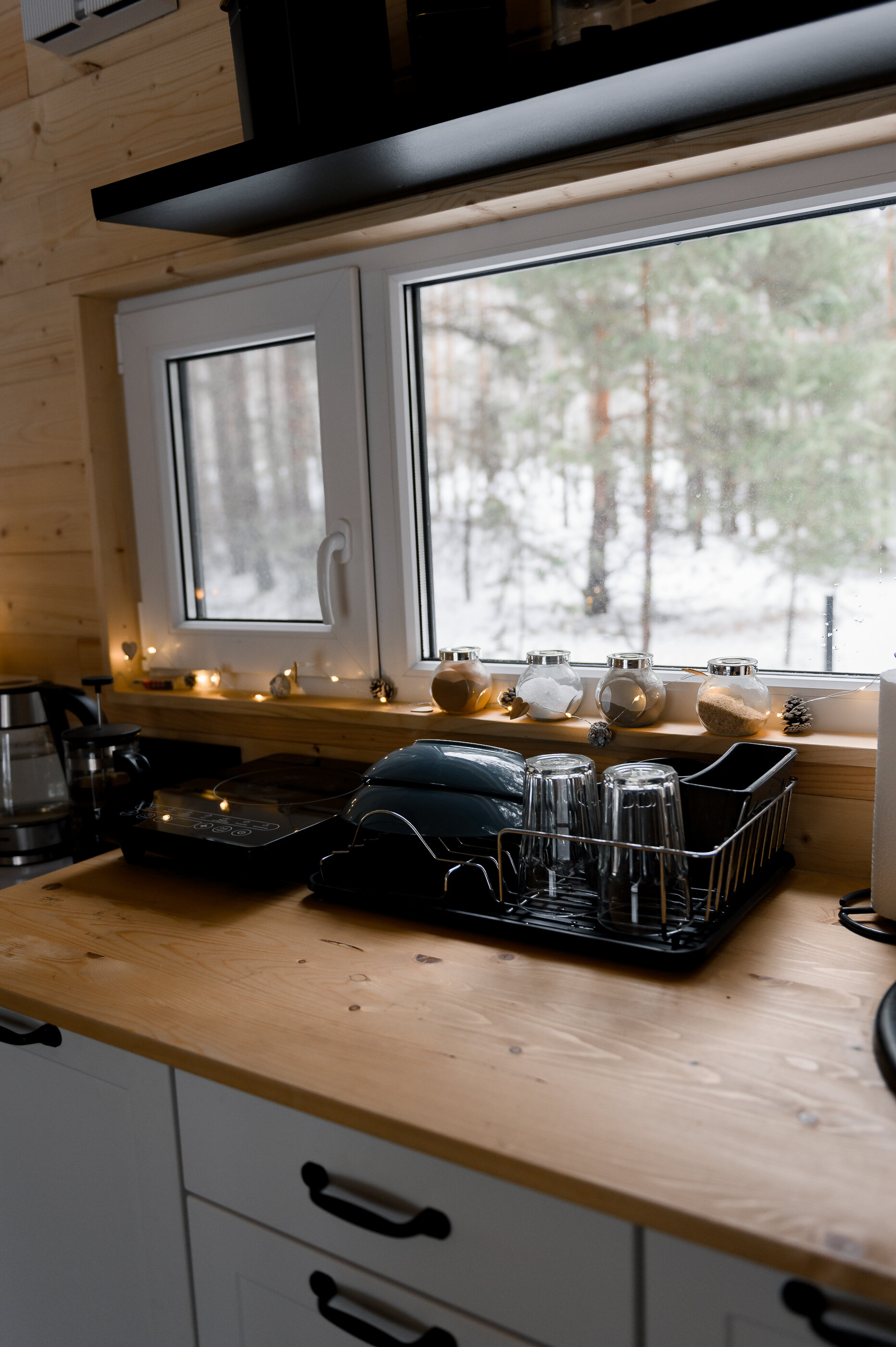 Фото Место под соснами