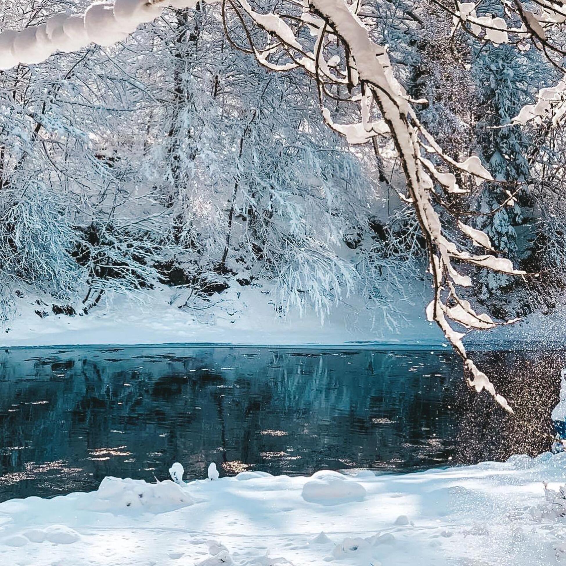 Фото Volkov Family