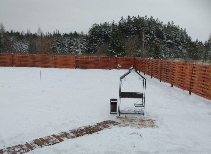 Фото Шишкин Афрейм