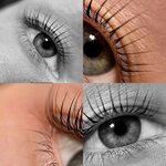 Alins. Brows (Krasnoarmeyskaya Street, 91), eyebrow and eyelash salon