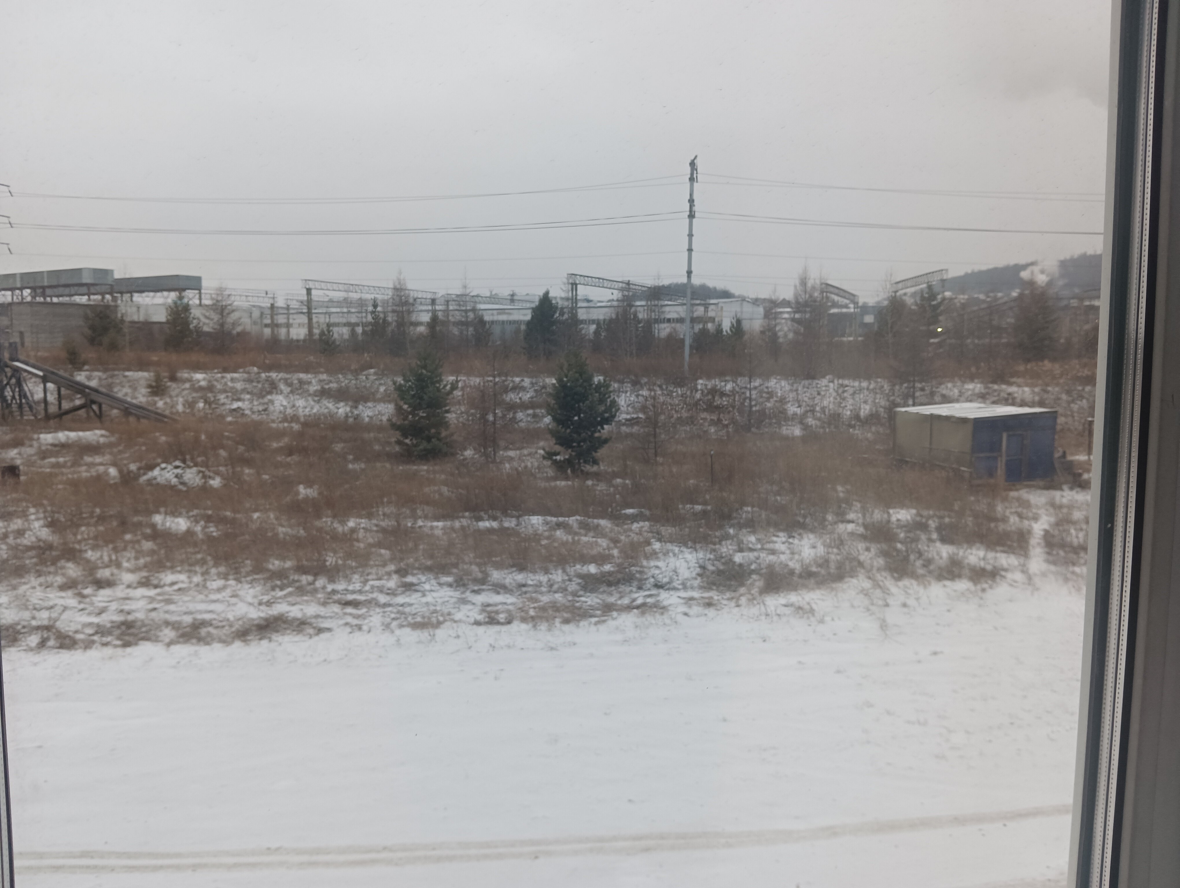 Фото Аврора