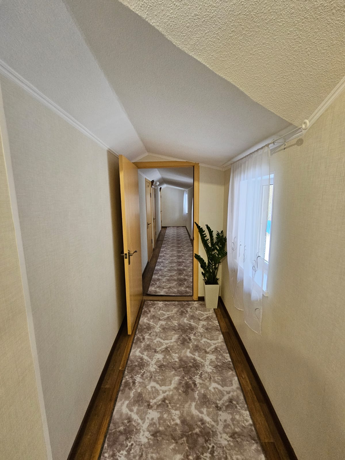 Фото Шишкино-парк