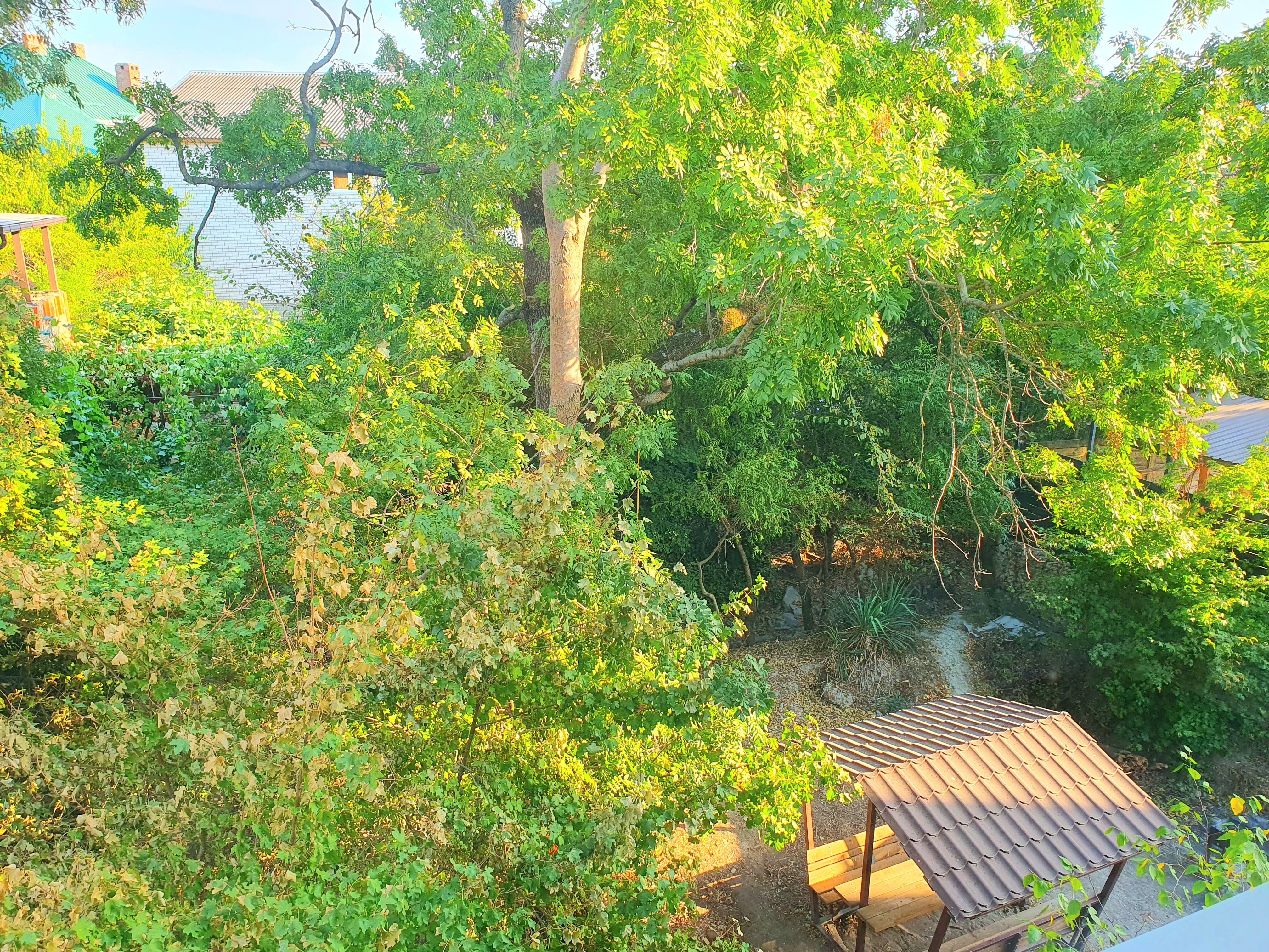 Фото Барсук