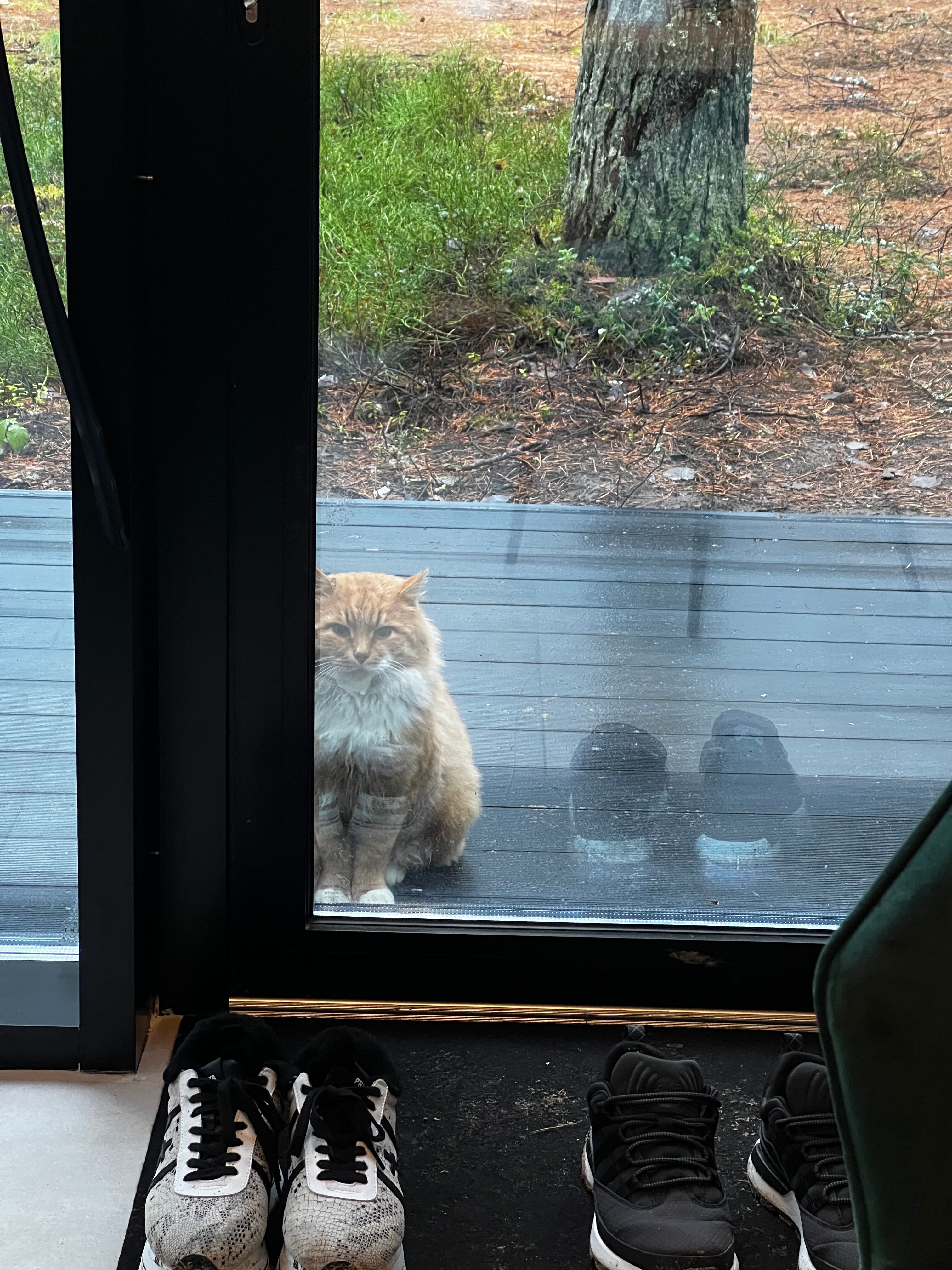 Фото Seliger Soul