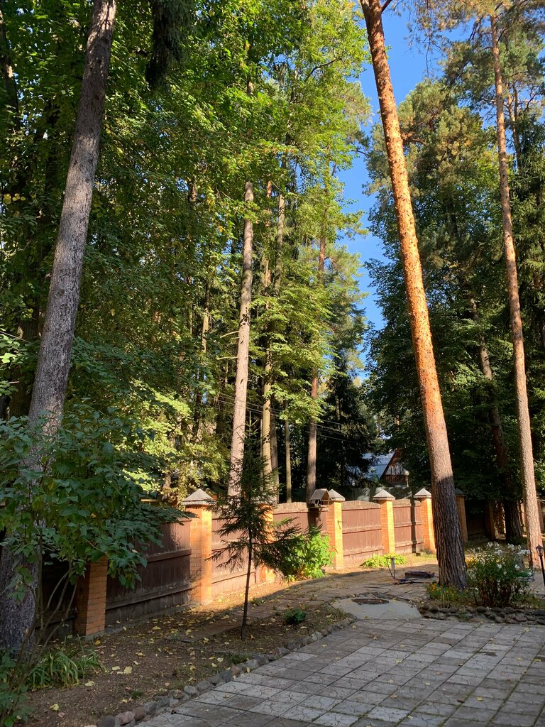 Gardeners' partnerships and societies СНТ Красково, Moscow and Moscow Oblast, photo