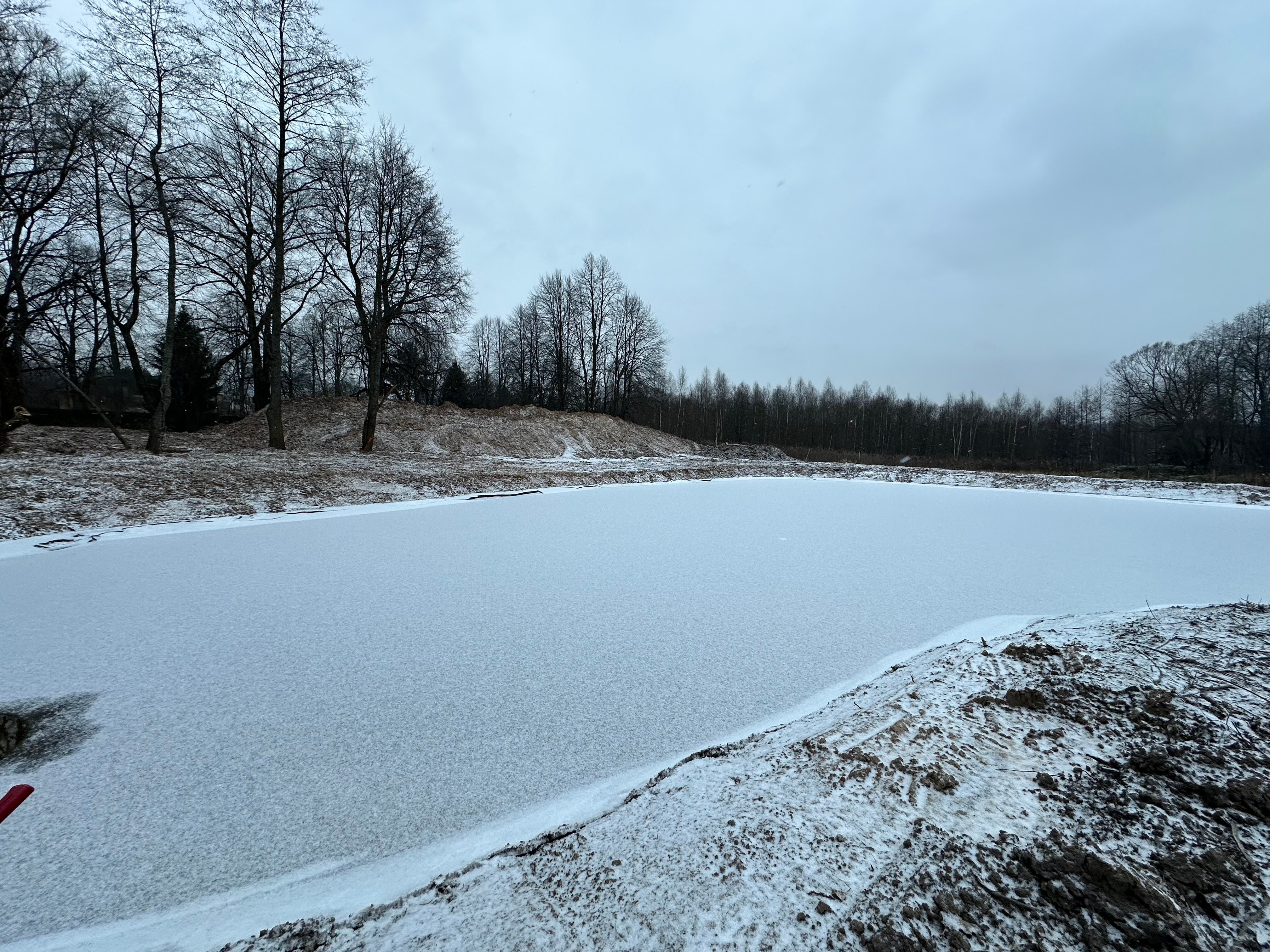 Фото Просто Cosmos